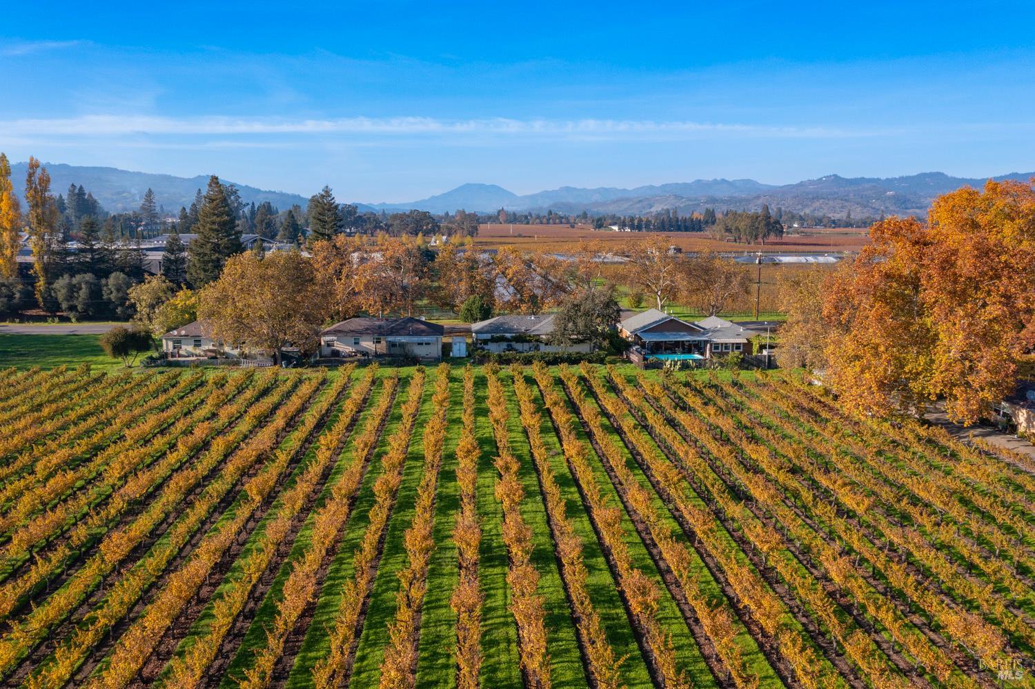 1135 Galleron Road
