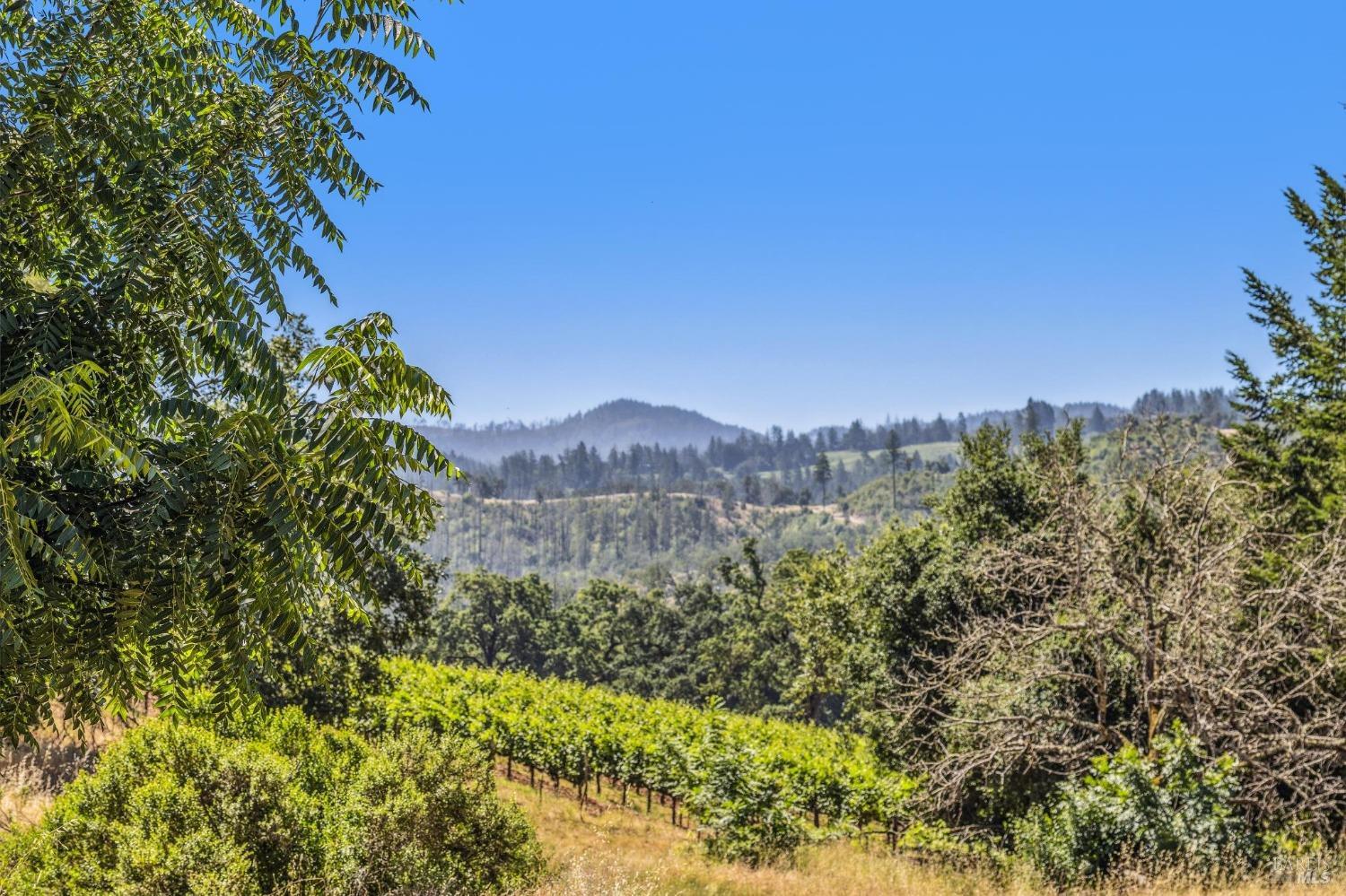 3567 State Highway 128