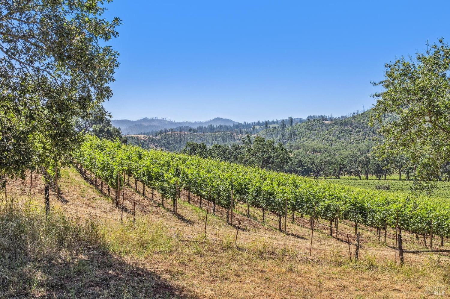 3567 State Highway 128