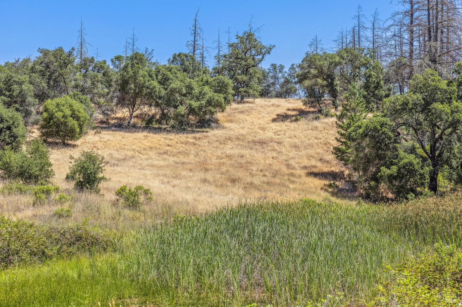 3567 State Highway 128