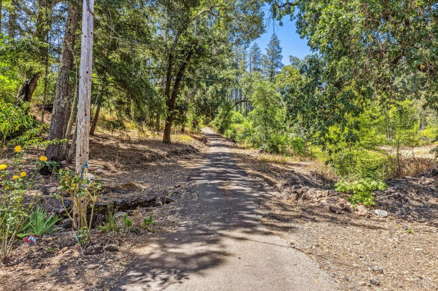 3567 State Highway 128