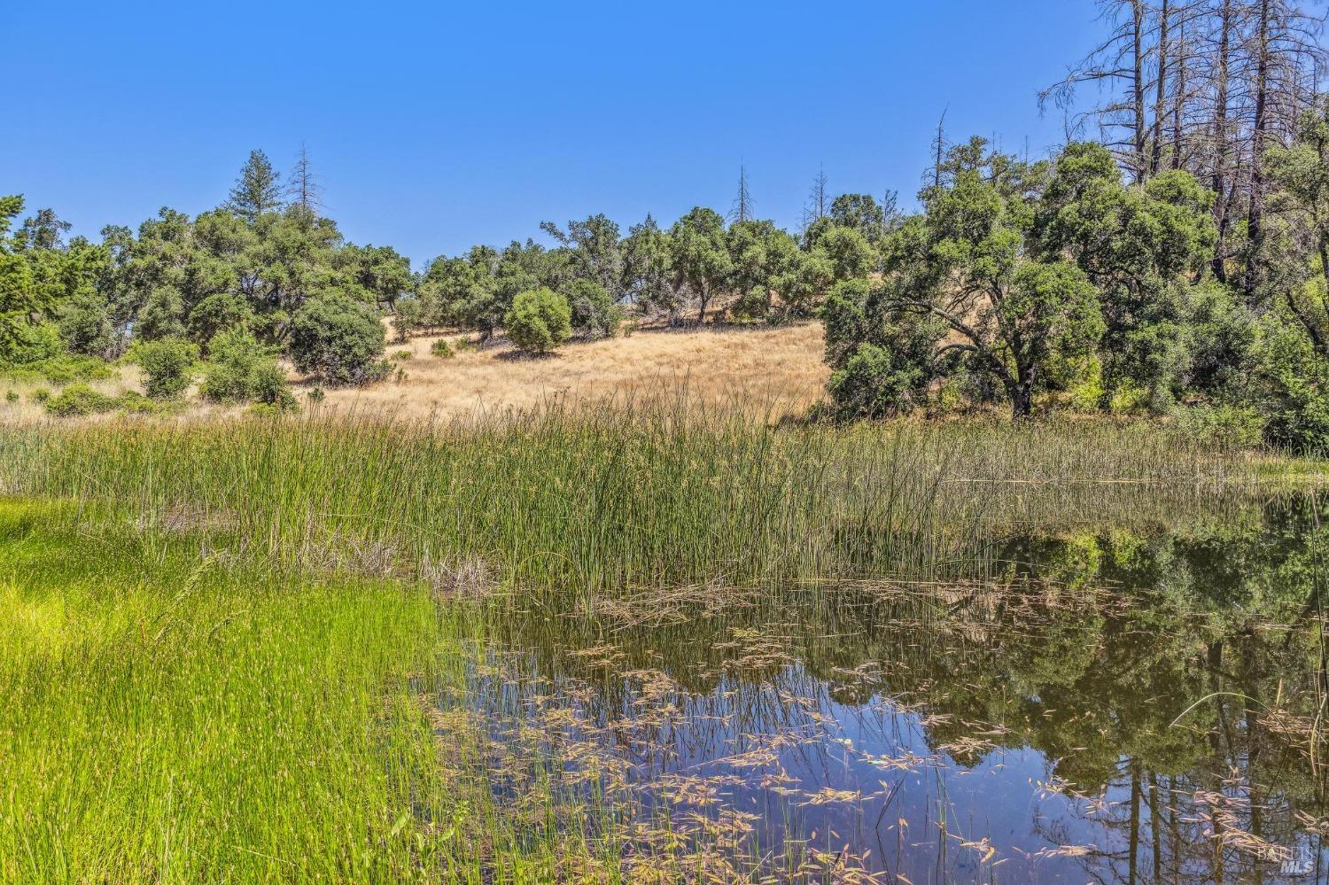 3567 State Highway 128