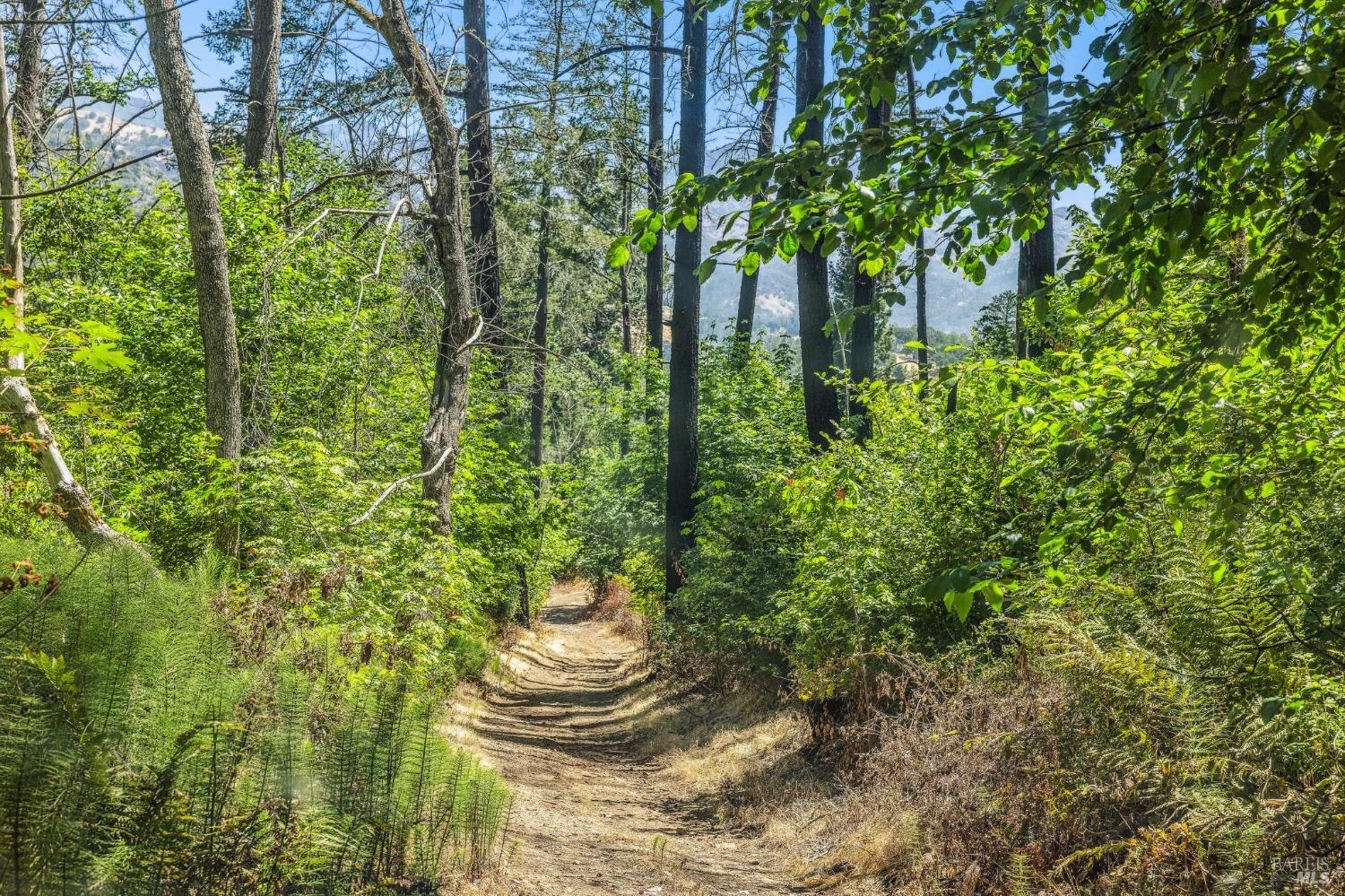 3567 State Highway 128