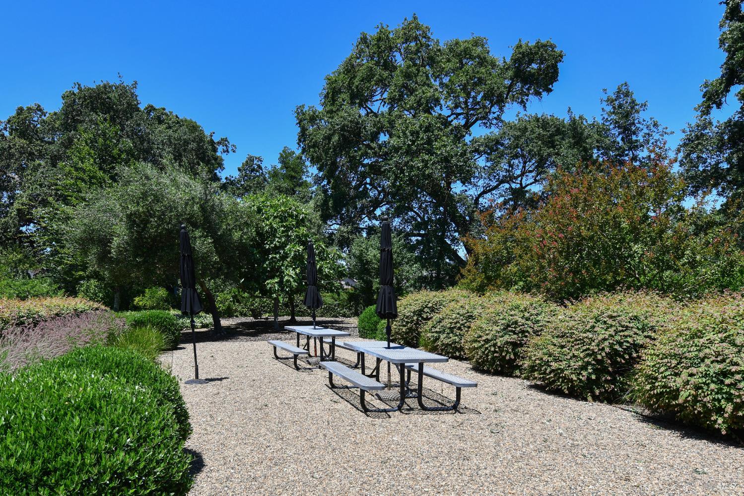 6600 Yount Street Unit: #42