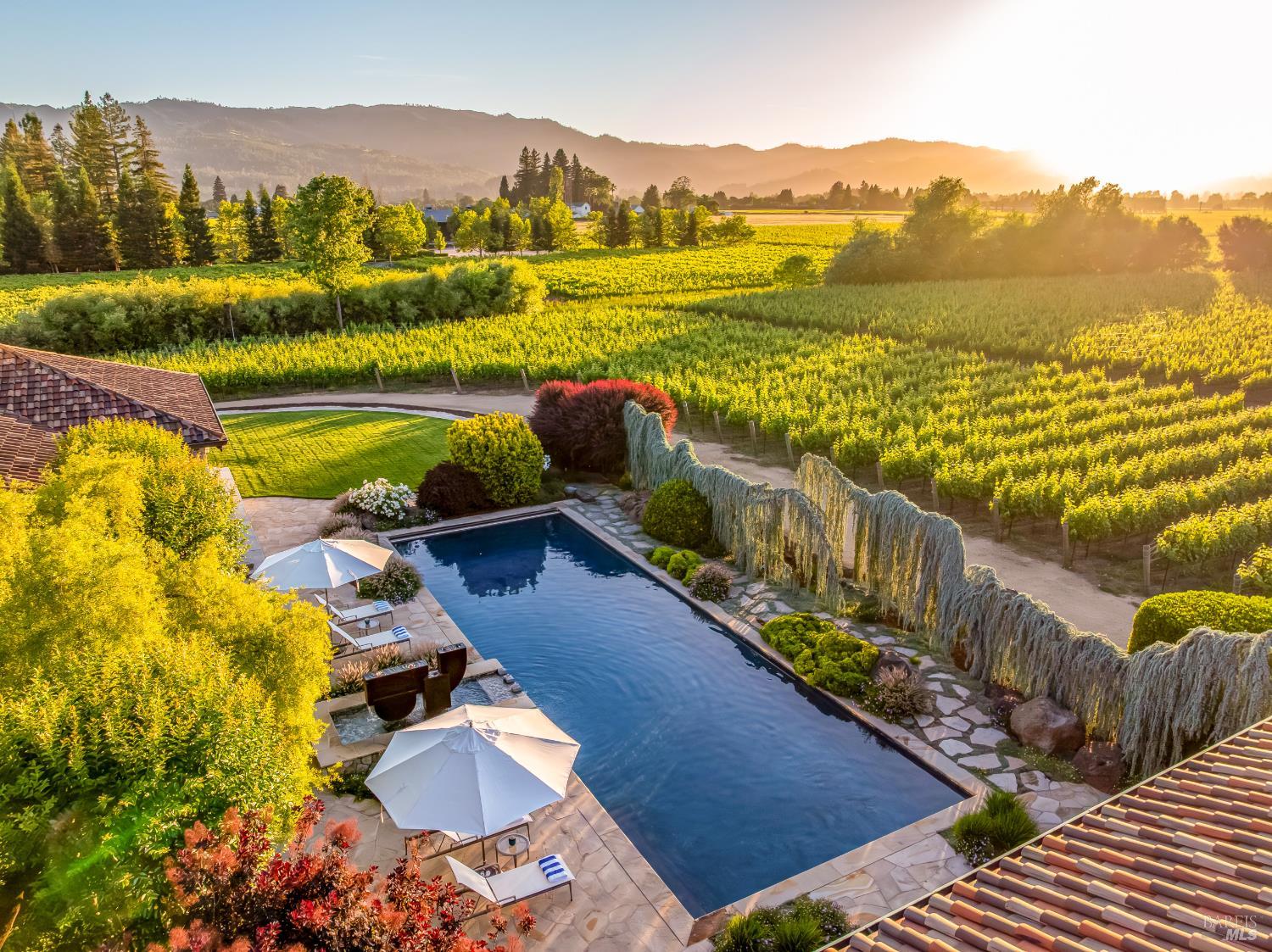 184 Zinfandel Lane