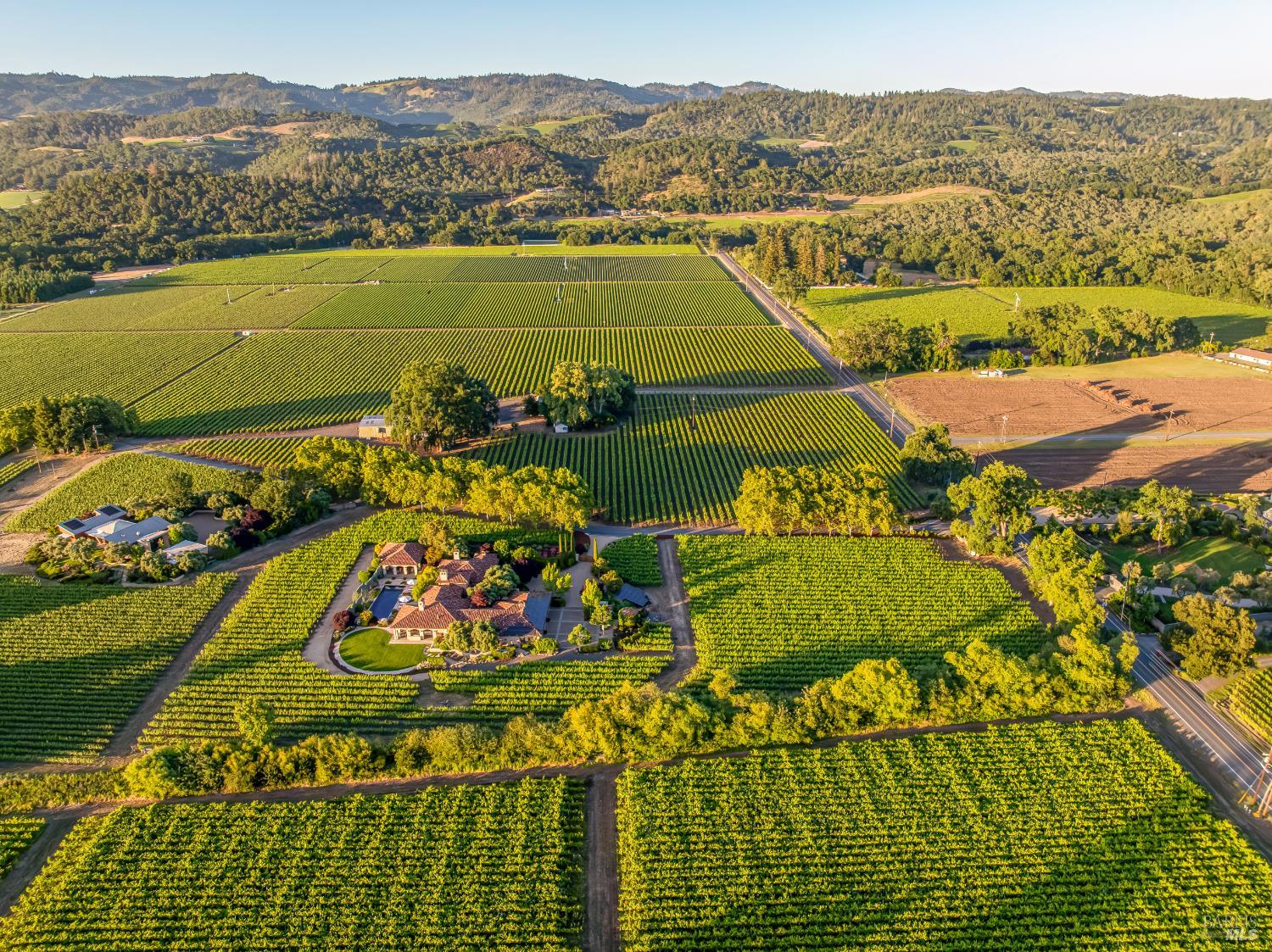 184 Zinfandel Lane