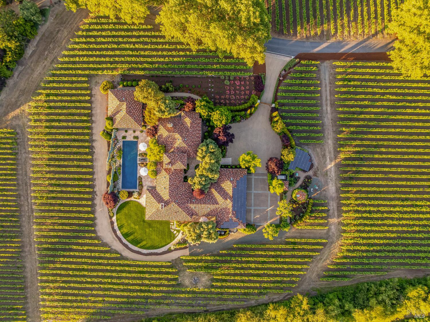 184 Zinfandel Lane
