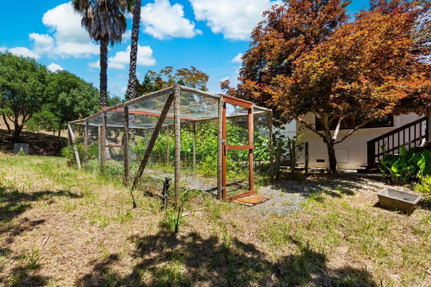 1163 Morningside Drive