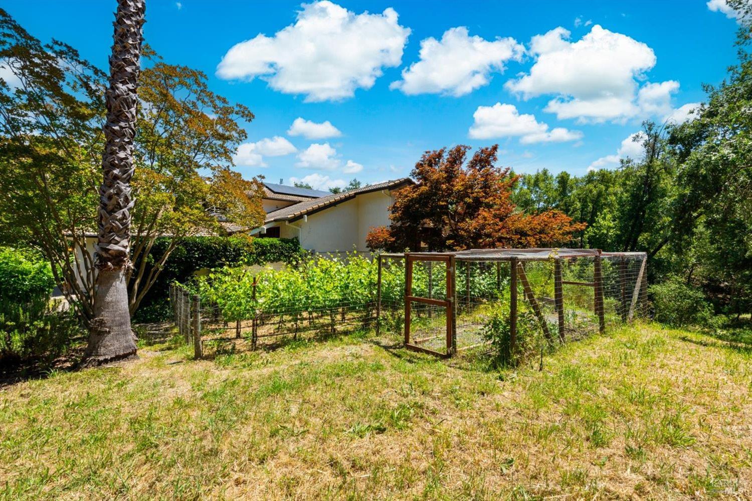 1163 Morningside Drive