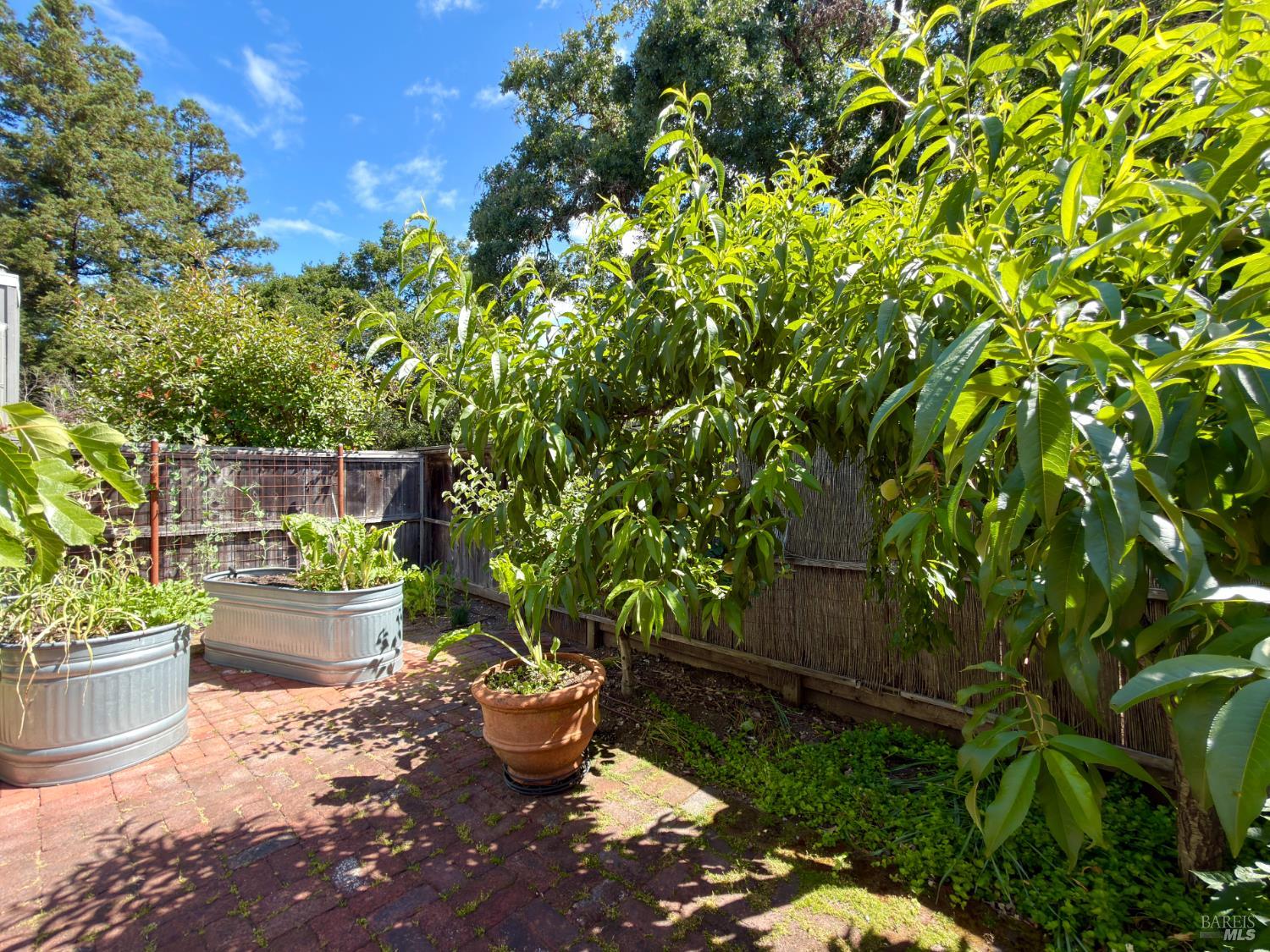2770 Pike Drive
