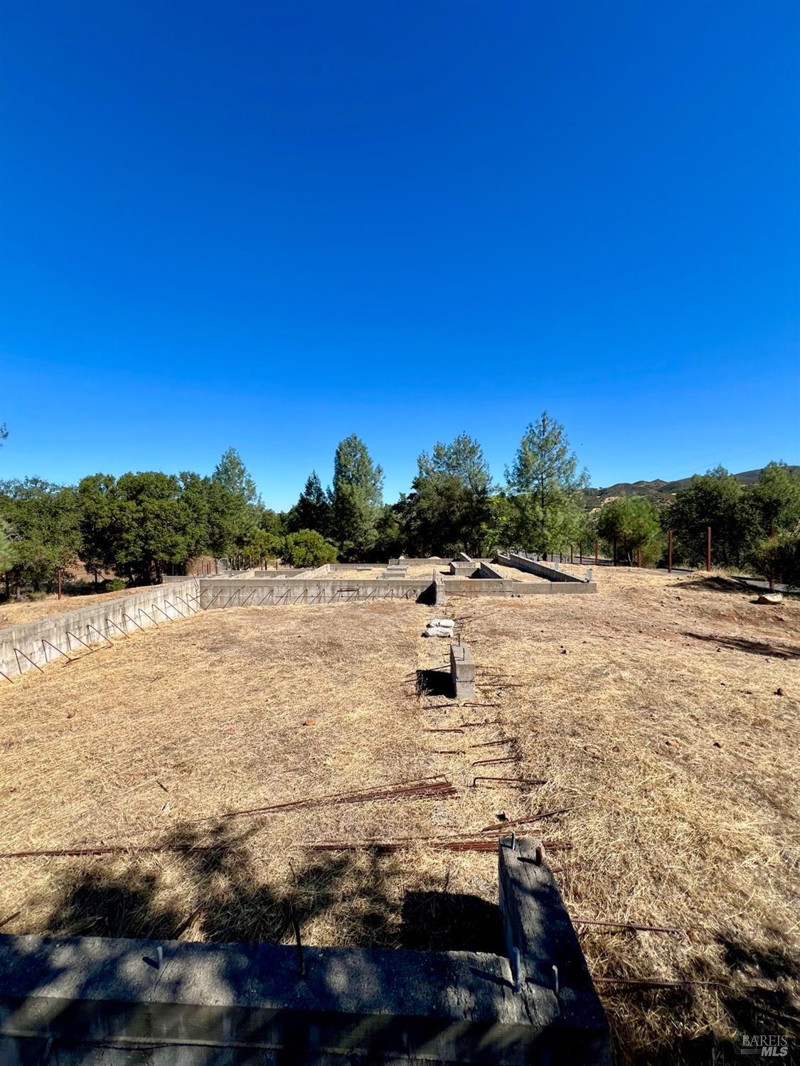 2439 Harness Drive
