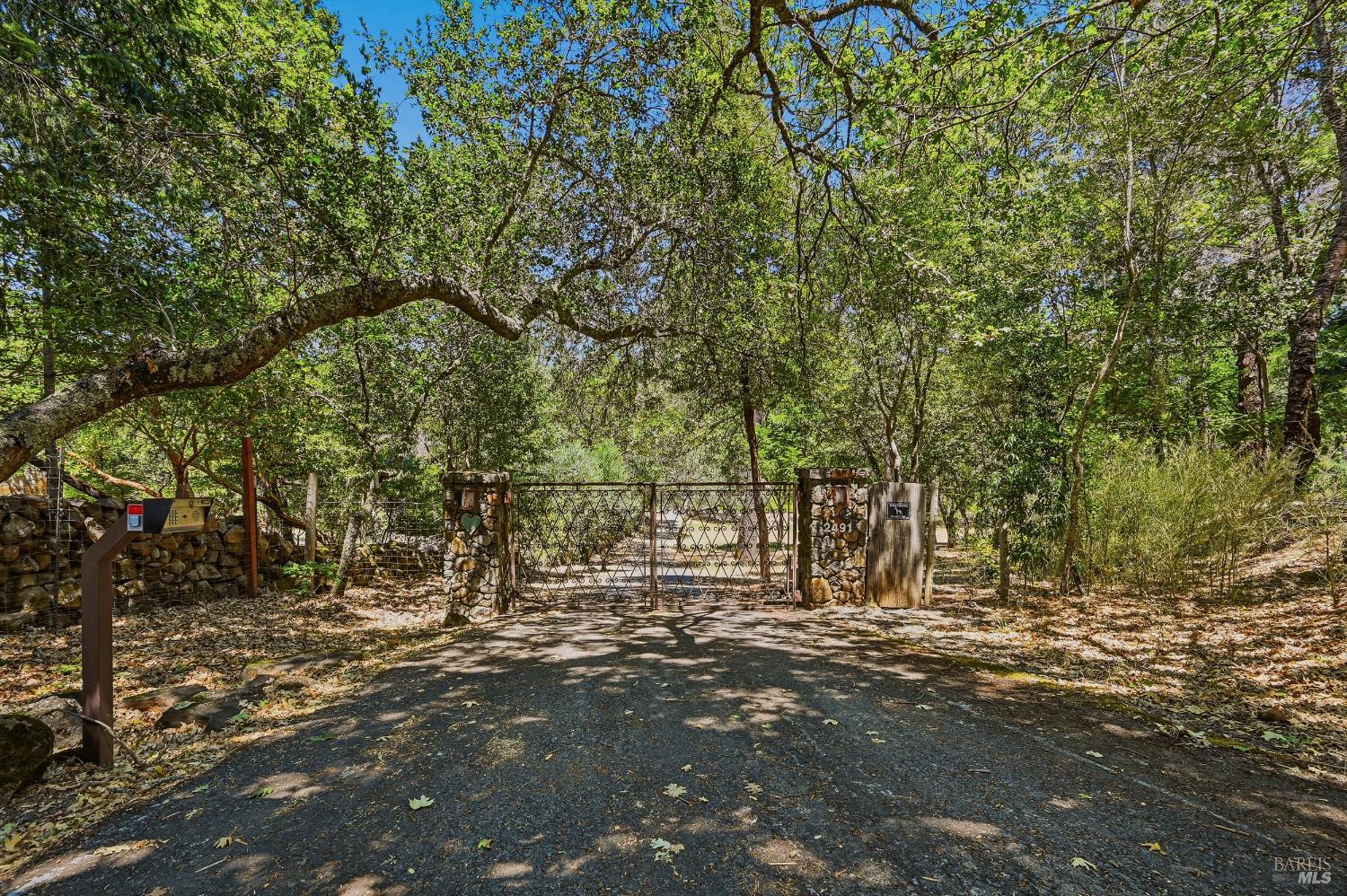 2491 Spring Mountain Road