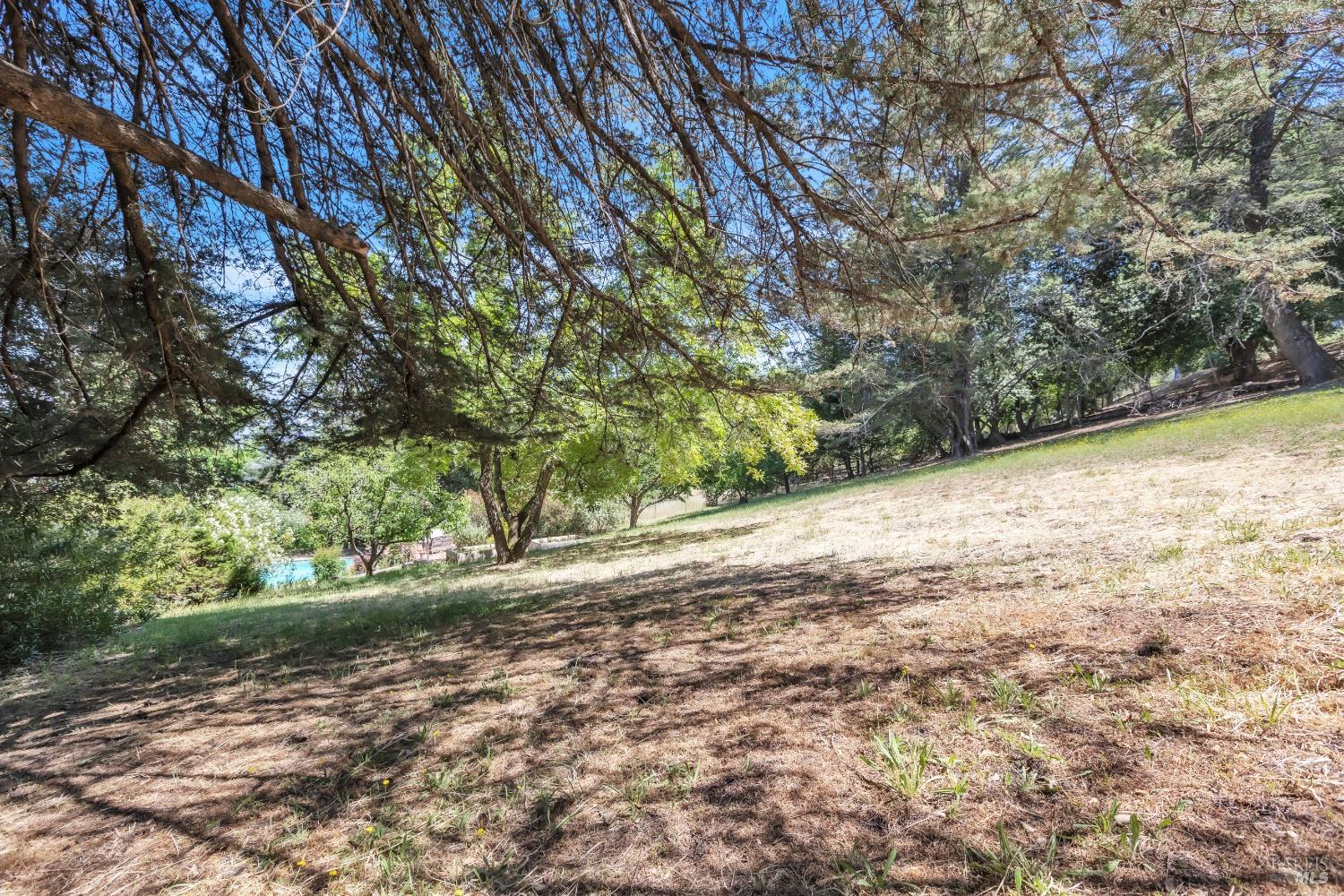 4552 Belmont Court
