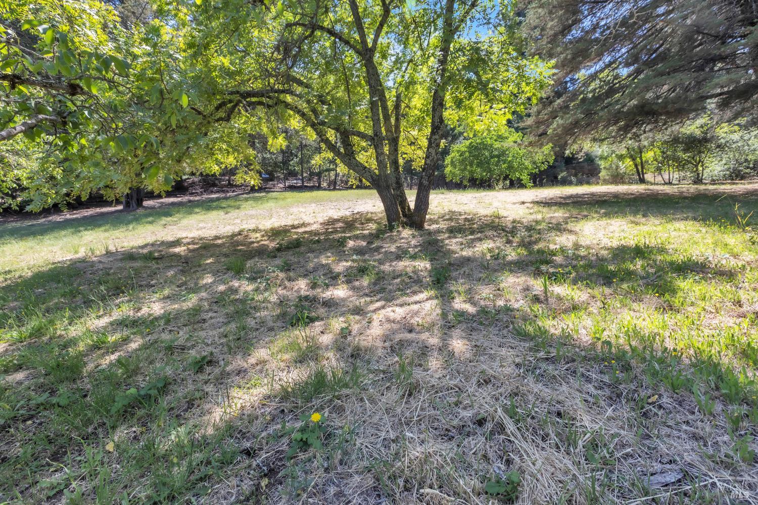 4552 Belmont Court