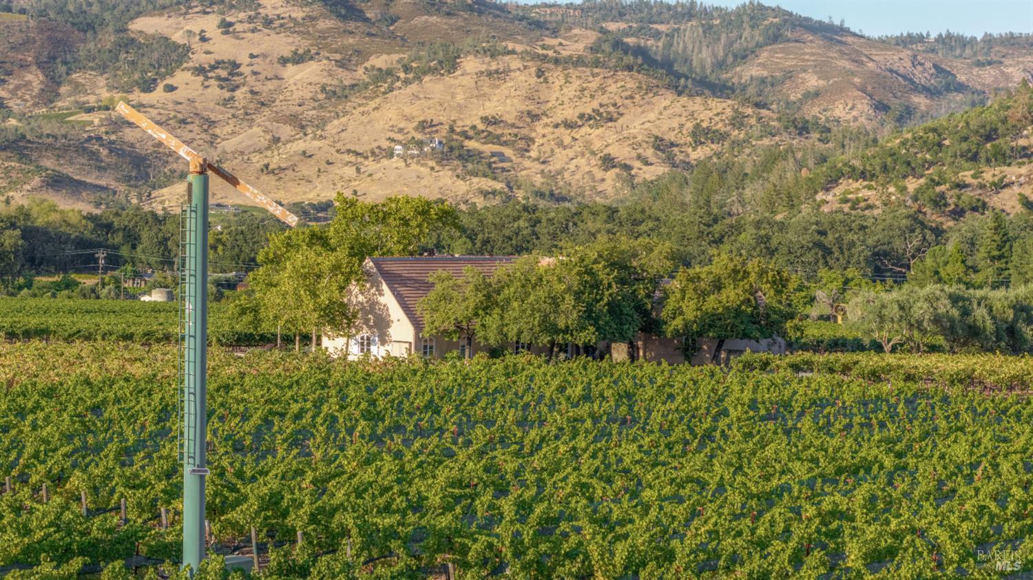 3486 St. Helena Highway