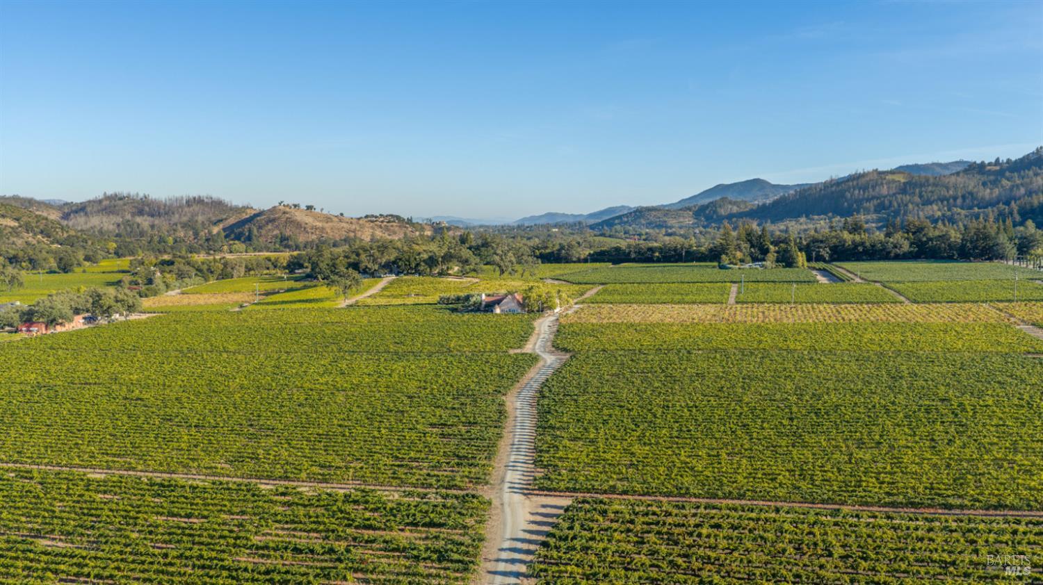 3486 St. Helena Highway