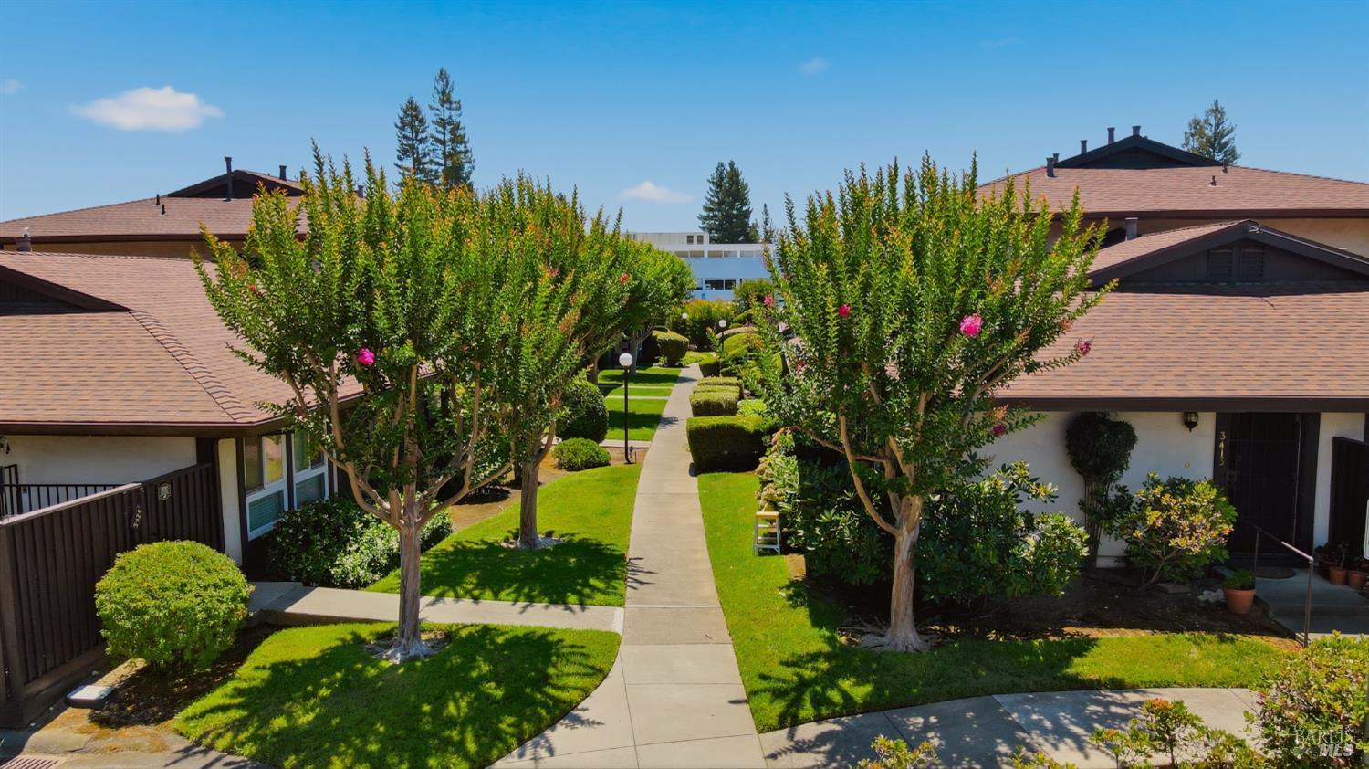 3409 Willis Drive