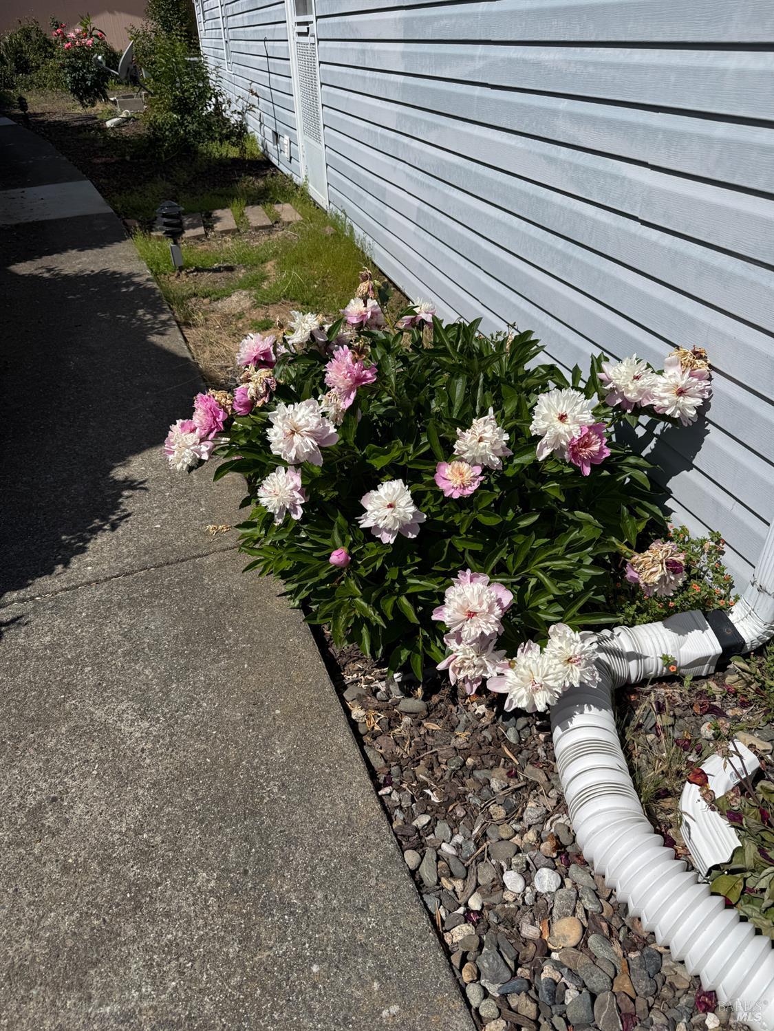 212 Julie Place