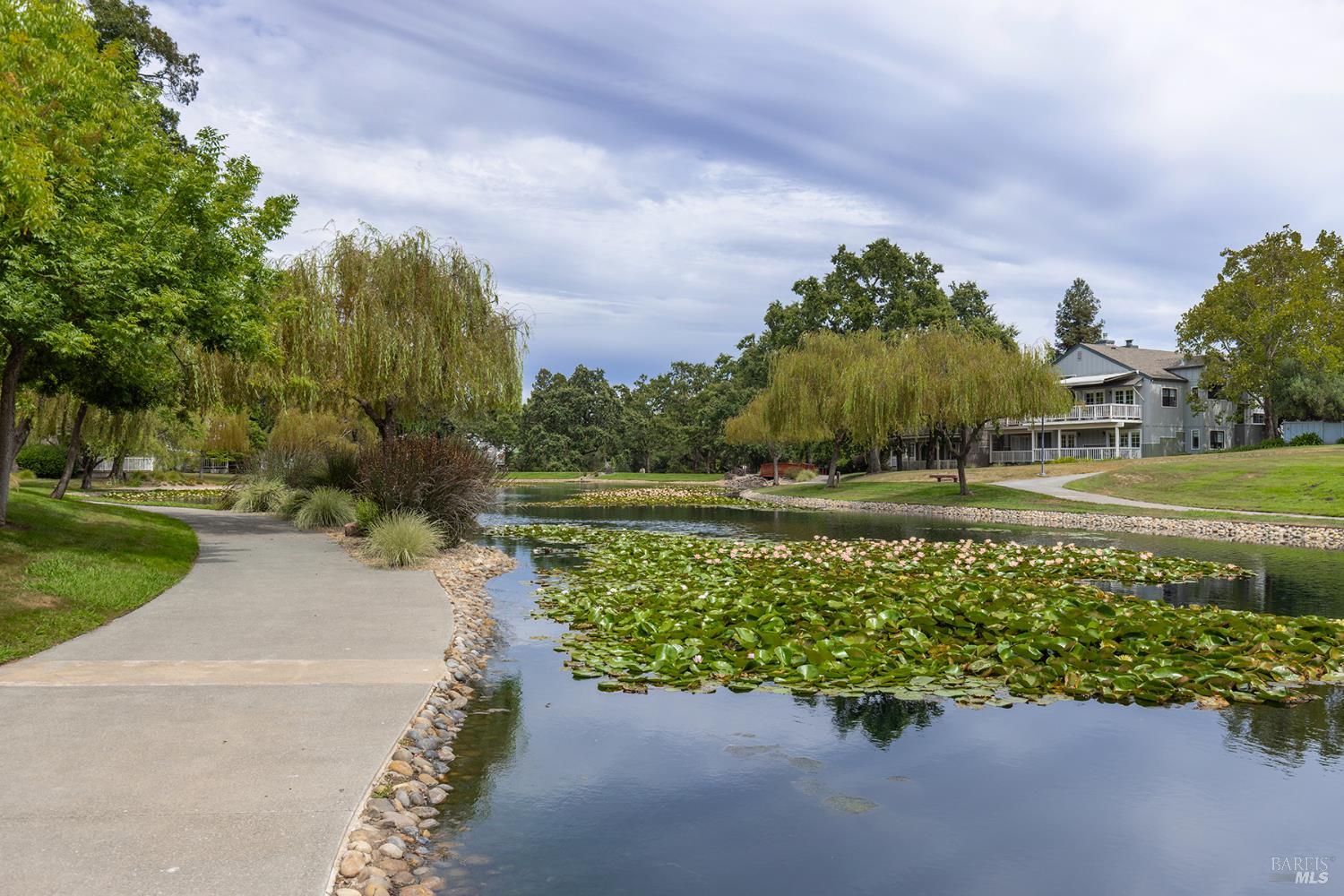 1004 Princeton Drive
