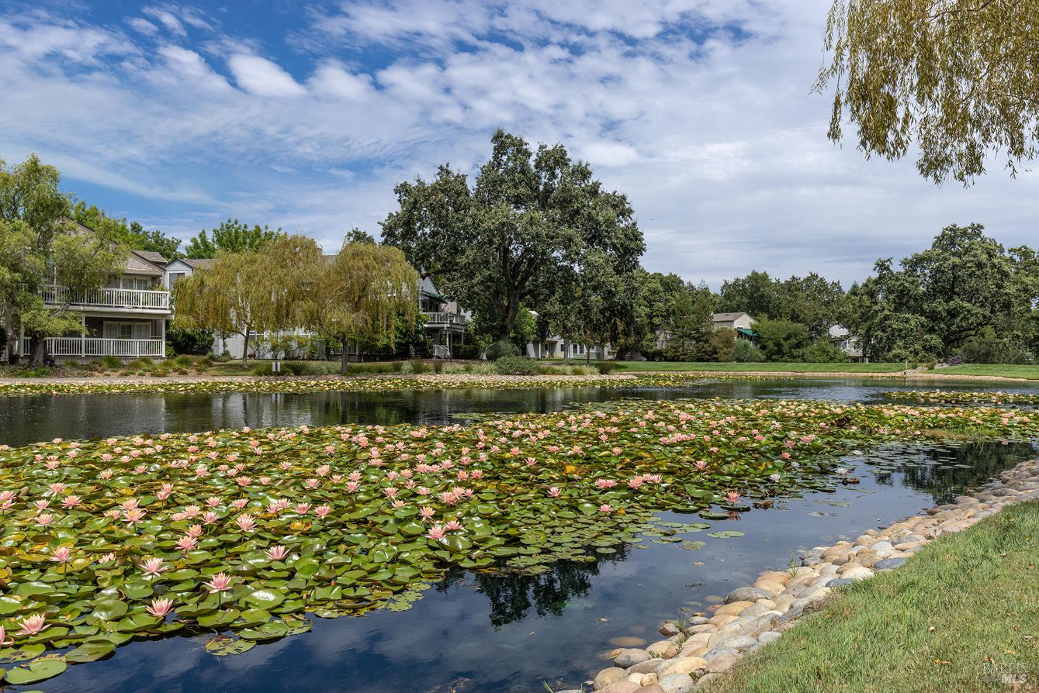 1004 Princeton Drive