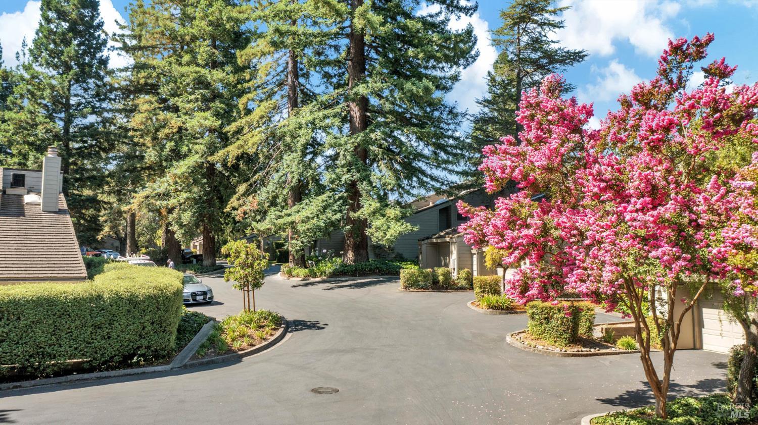 1789 Silverado Trail Unit: #1