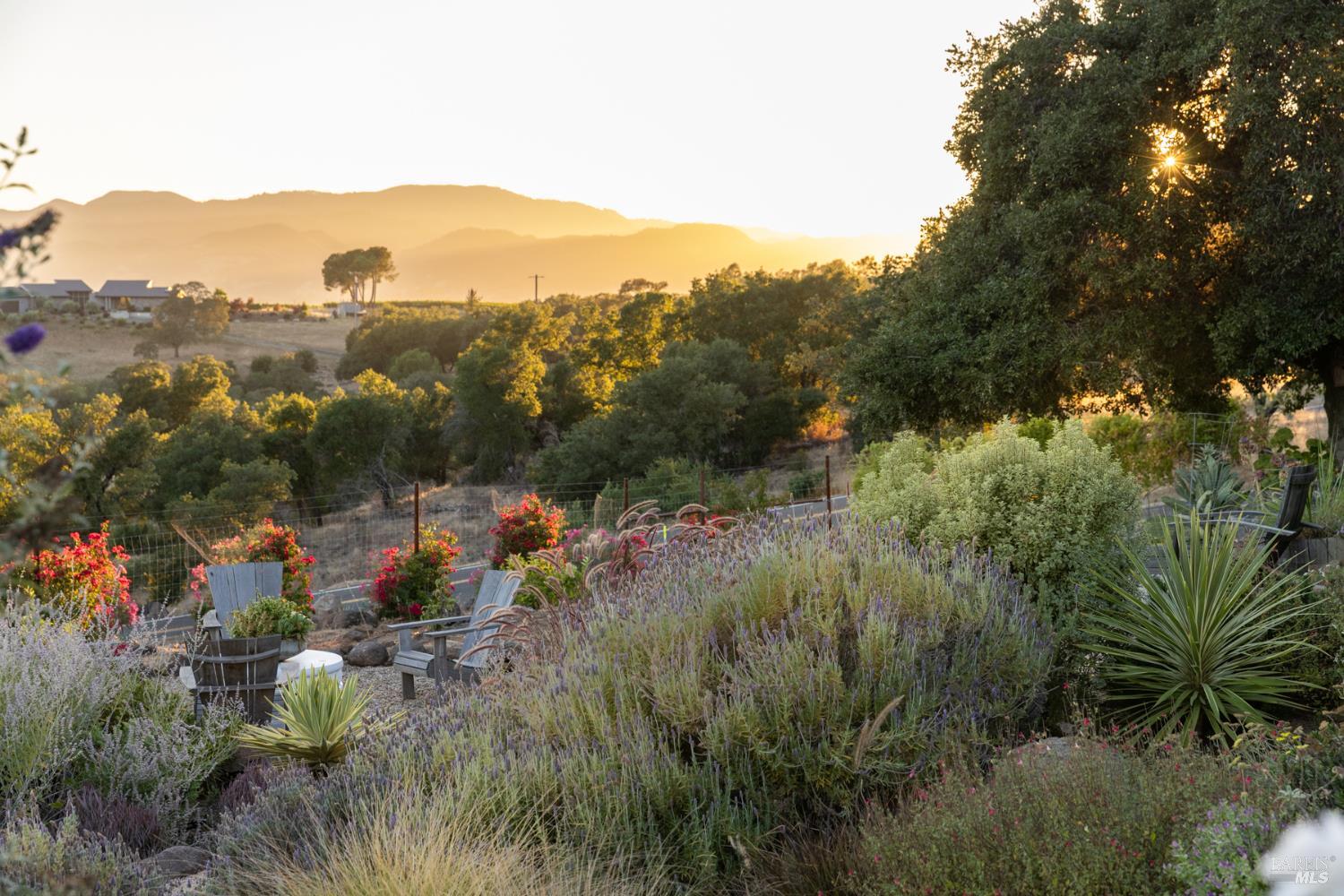 2100 Atlas Peak Road