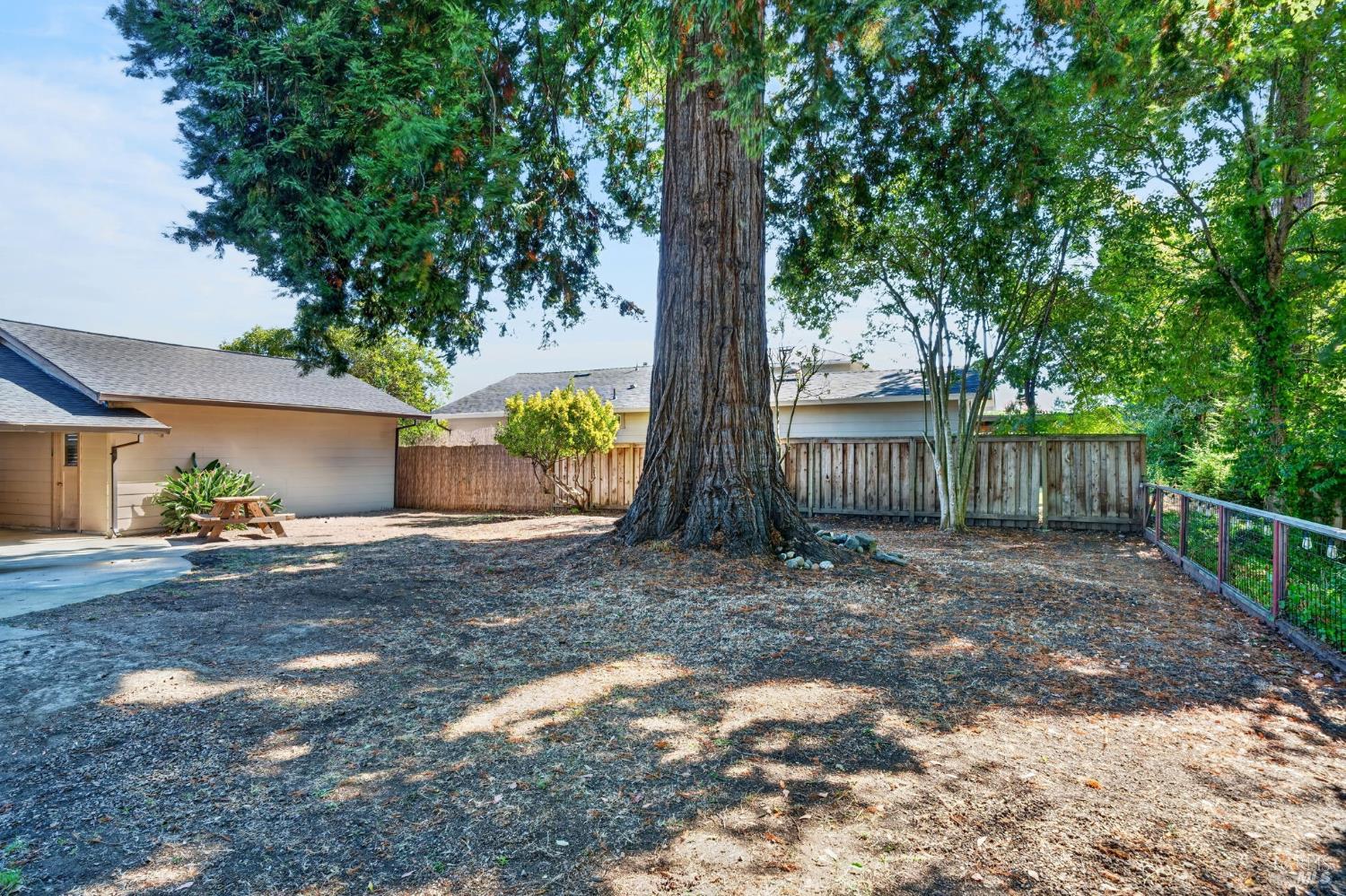3450 Cypress Way