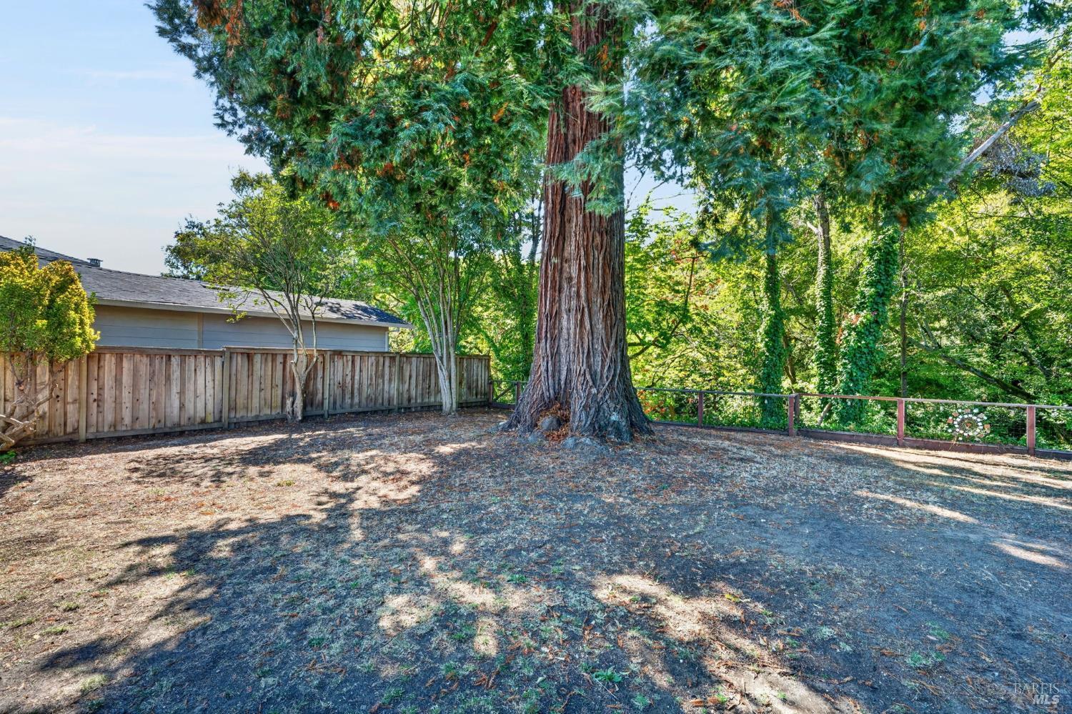 3450 Cypress Way