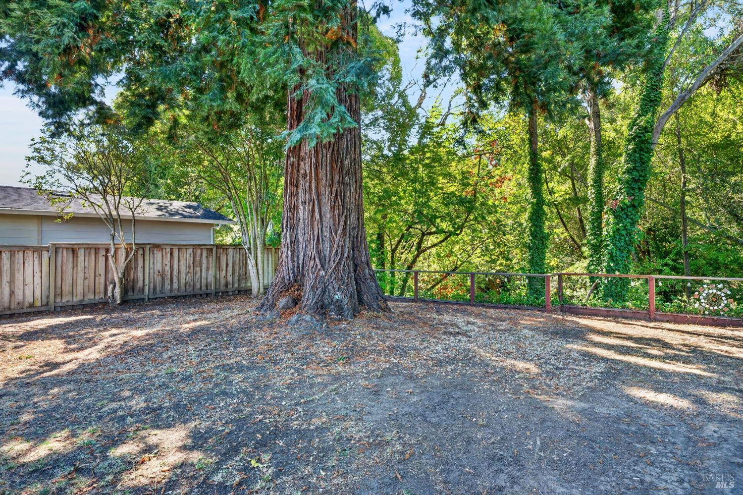 3450 Cypress Way