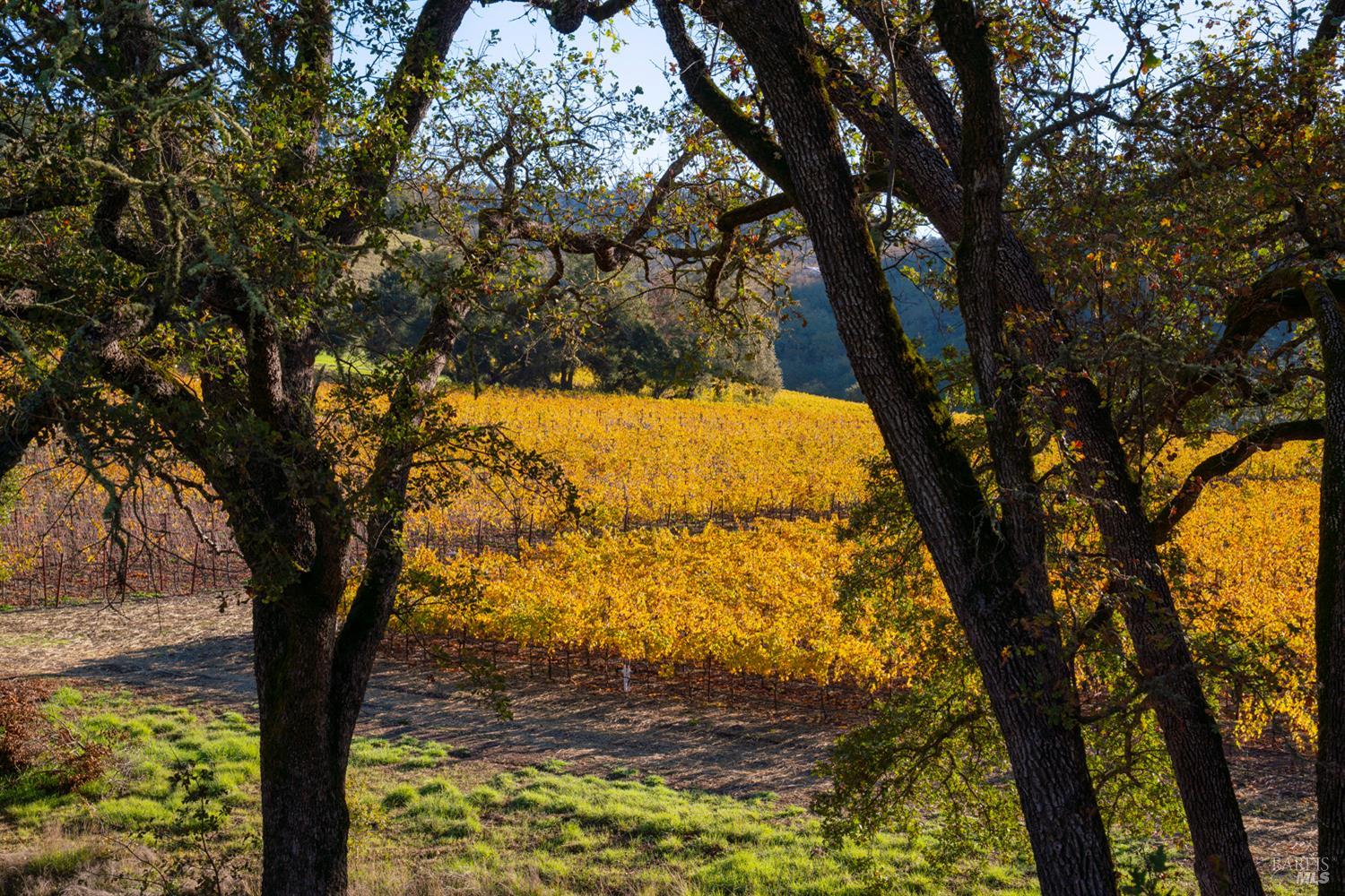 960 Conn Valley Road