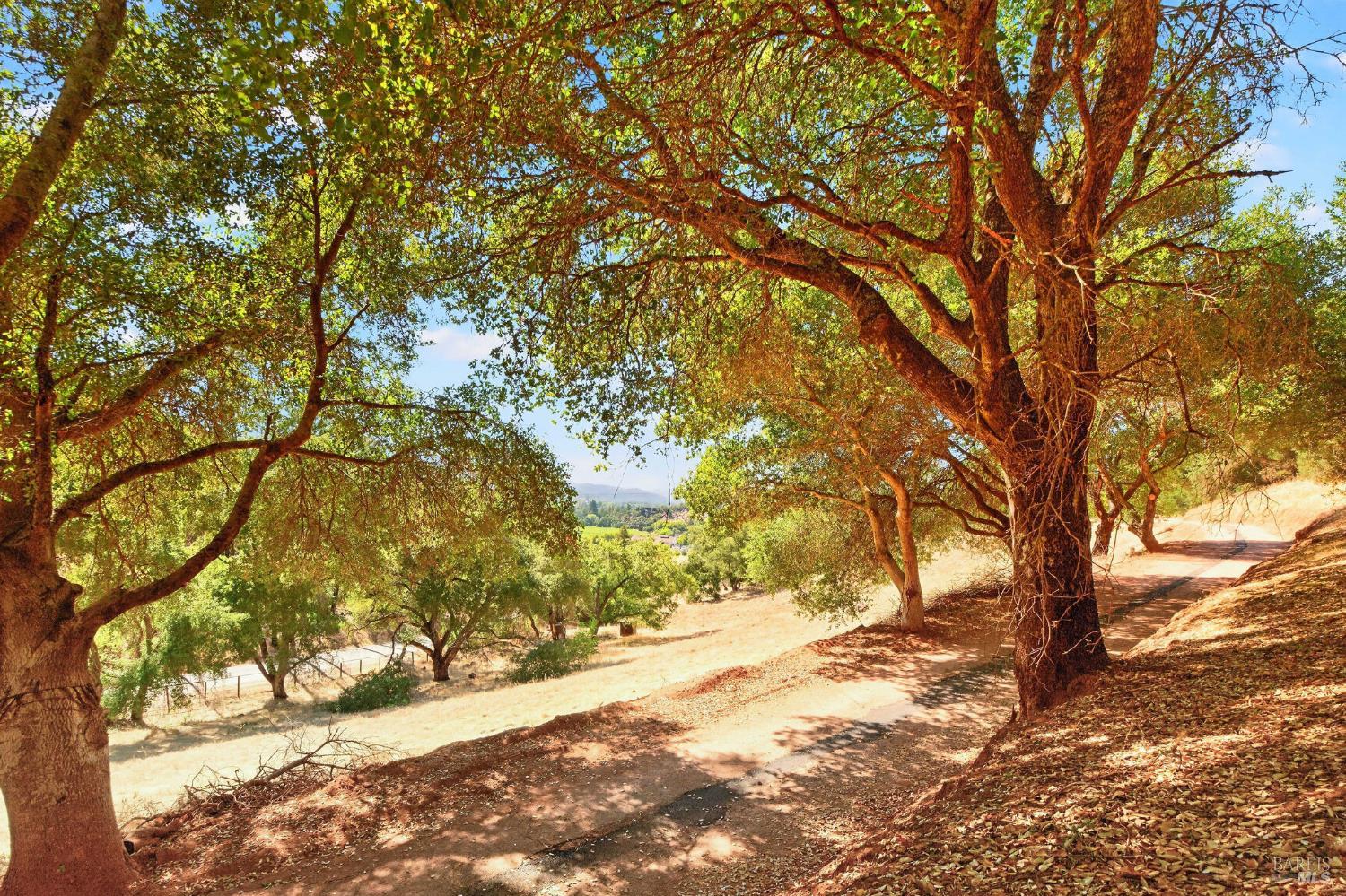 318 Crystal Springs Road