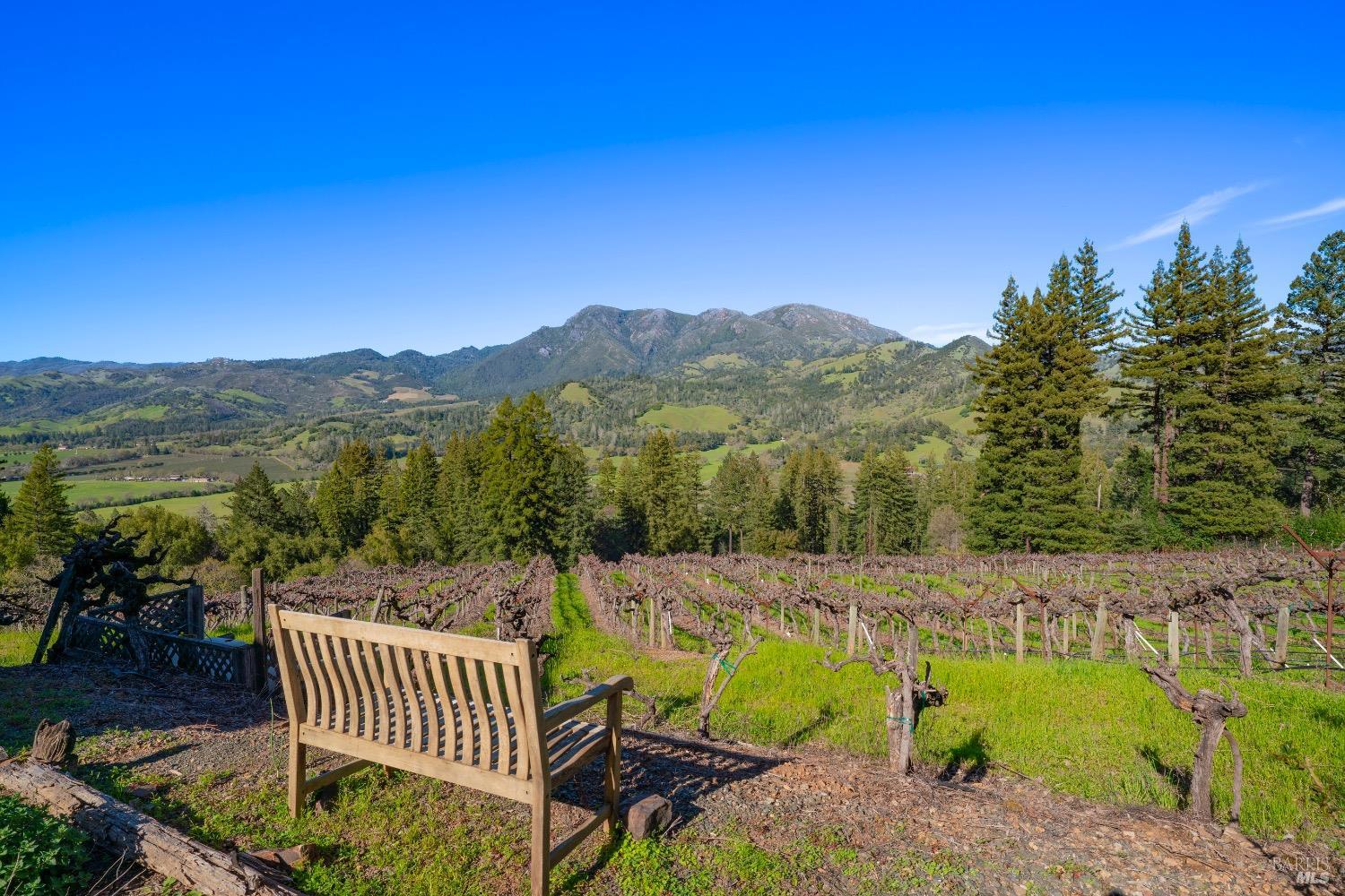 18276 Hwy 128 Unit: #A