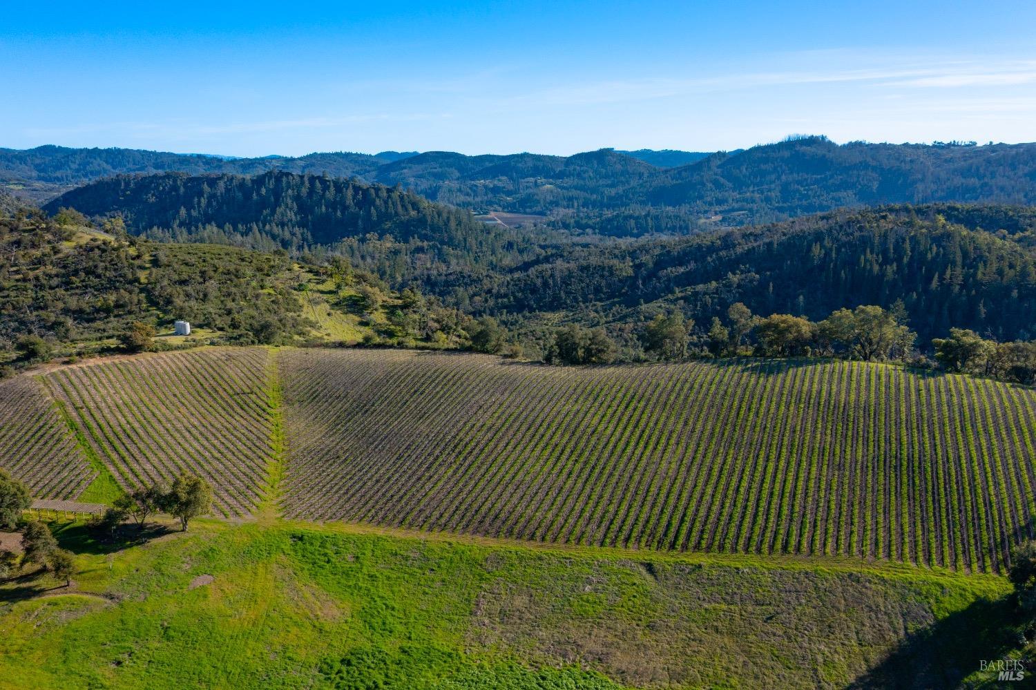 18276 Hwy 128 Unit: #A