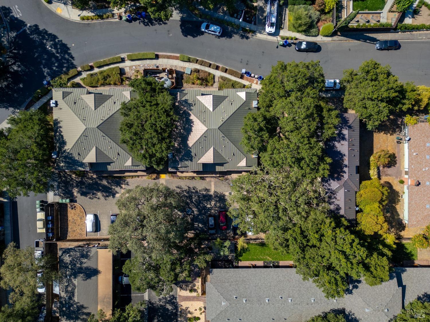 204 Rosebud Lane