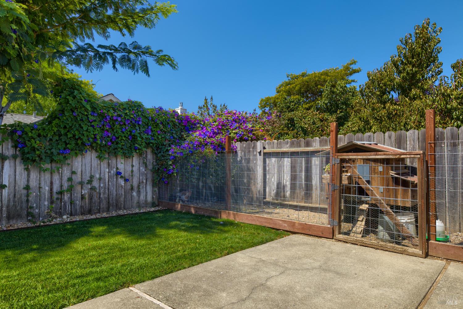 4455 Summerfield Drive