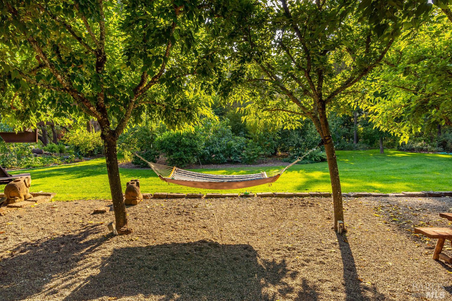 1105 Lodi Lane
