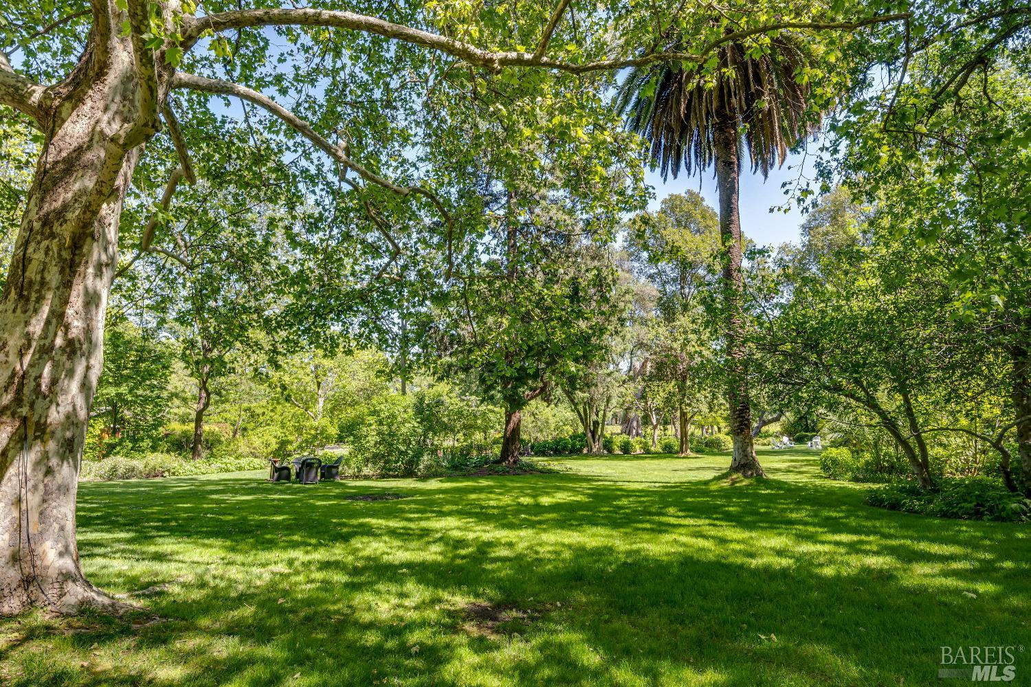 1105 Lodi Lane