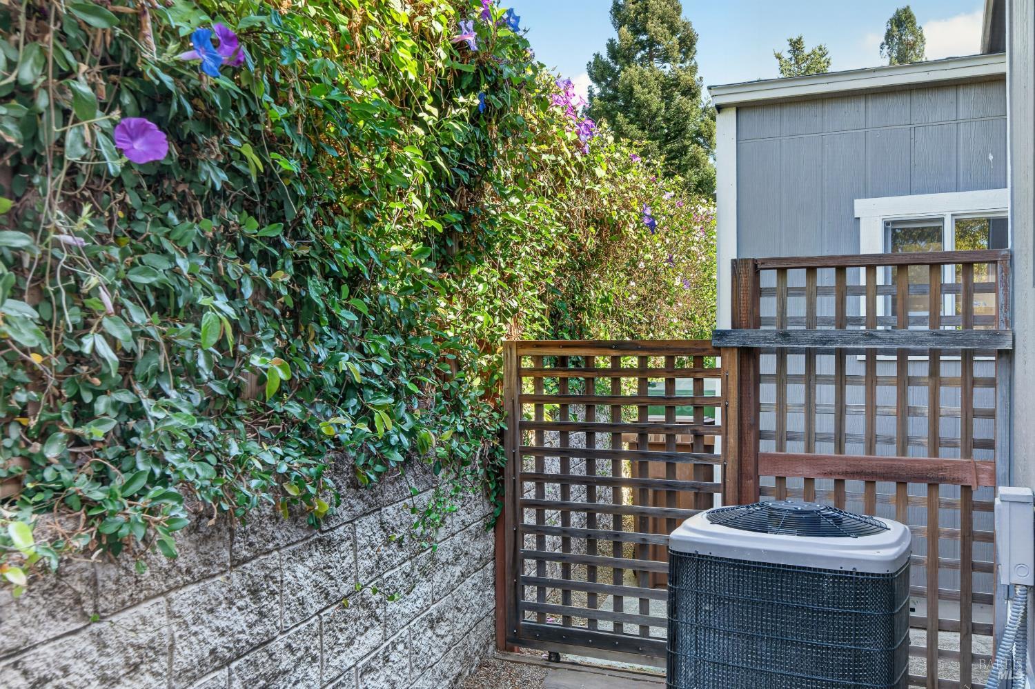 6468 Washington Street Unit: #66