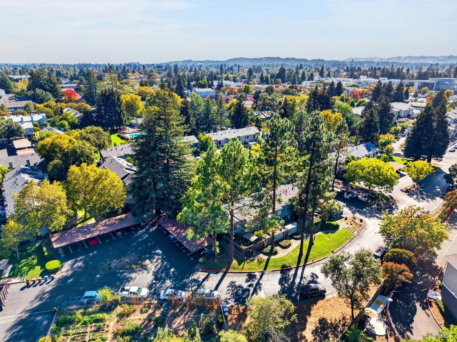 3576 Shelter Creek Drive