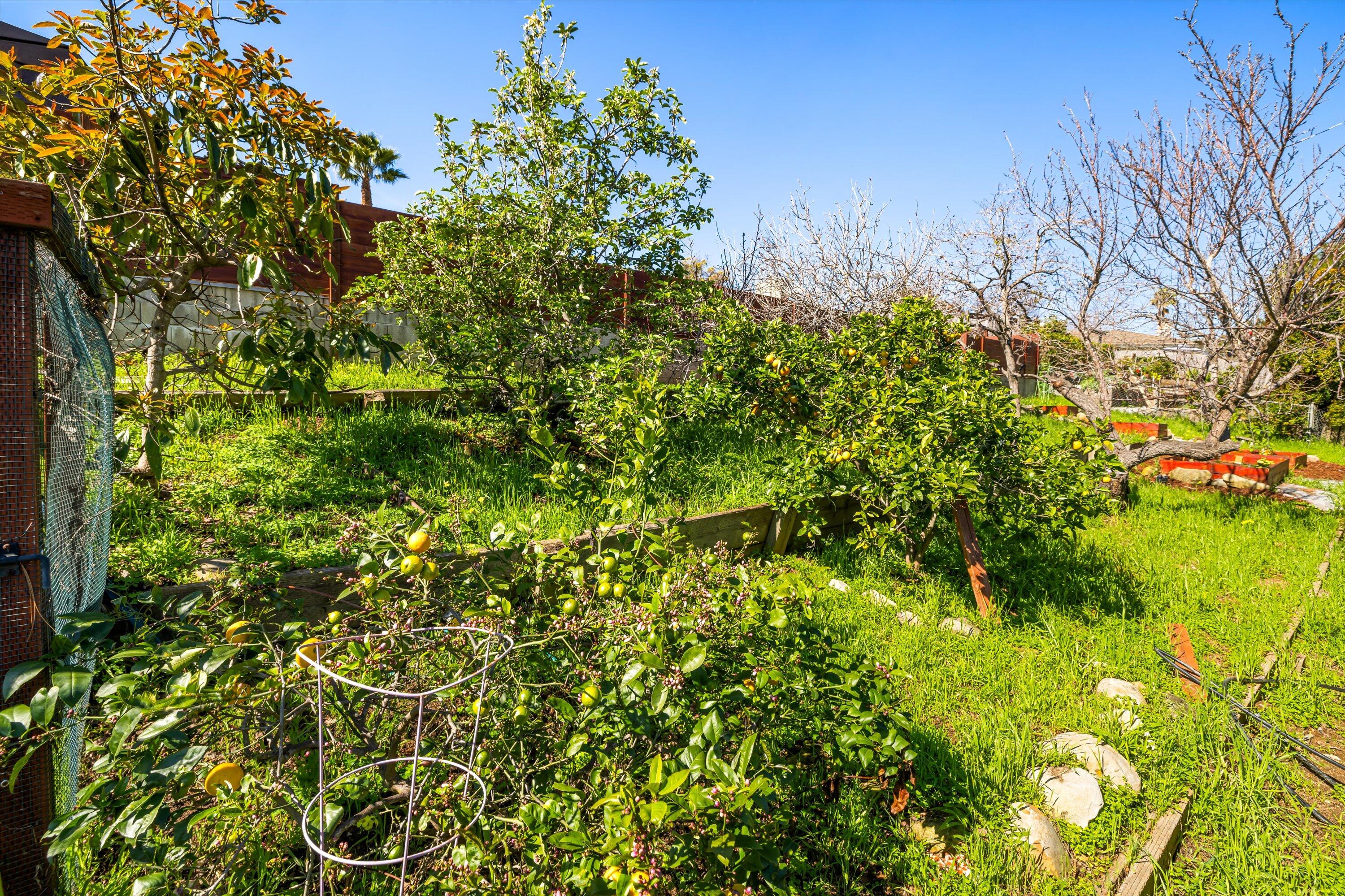 454 Vaquero Lane