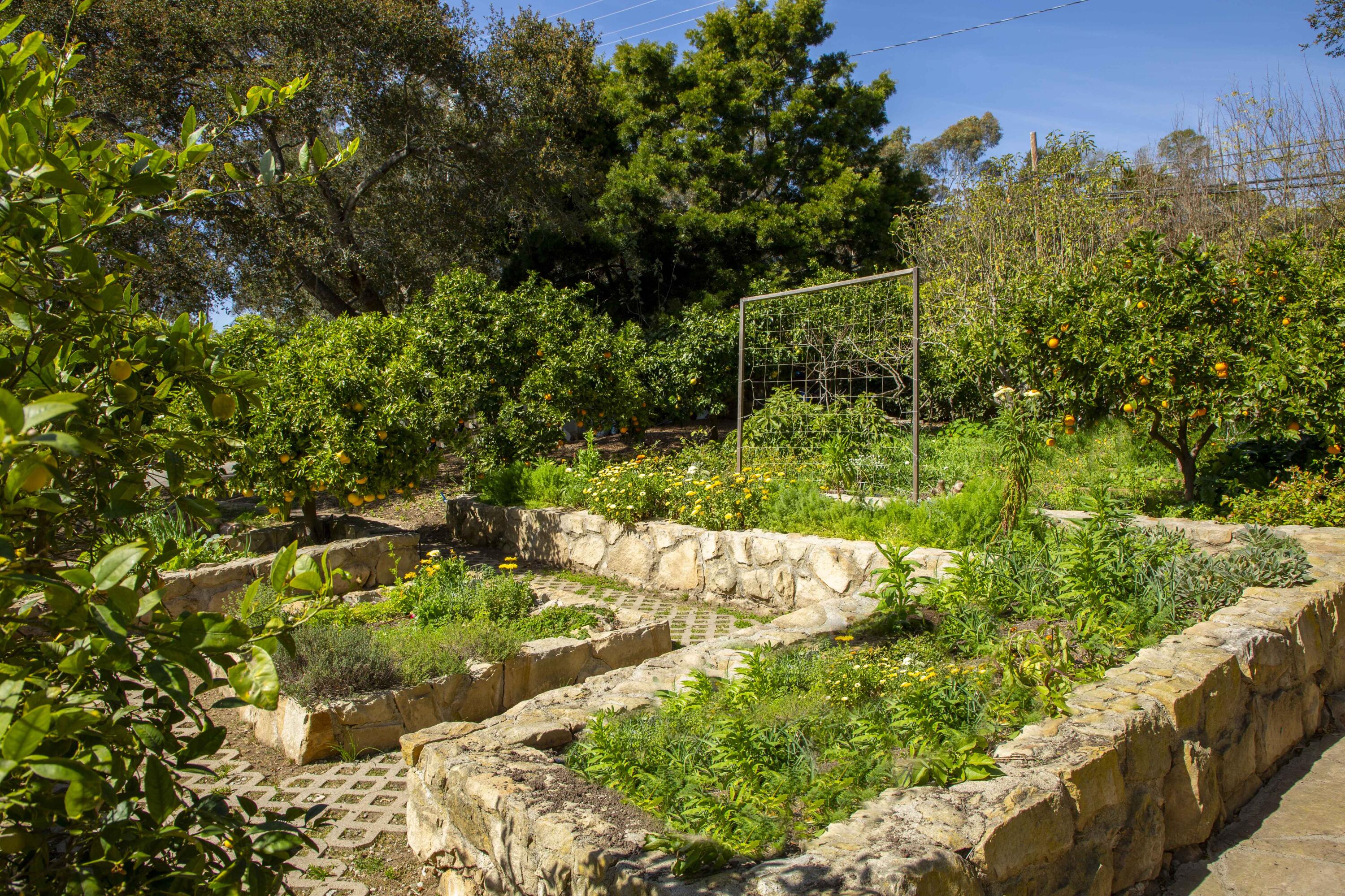 1729 Glen Oaks Drive