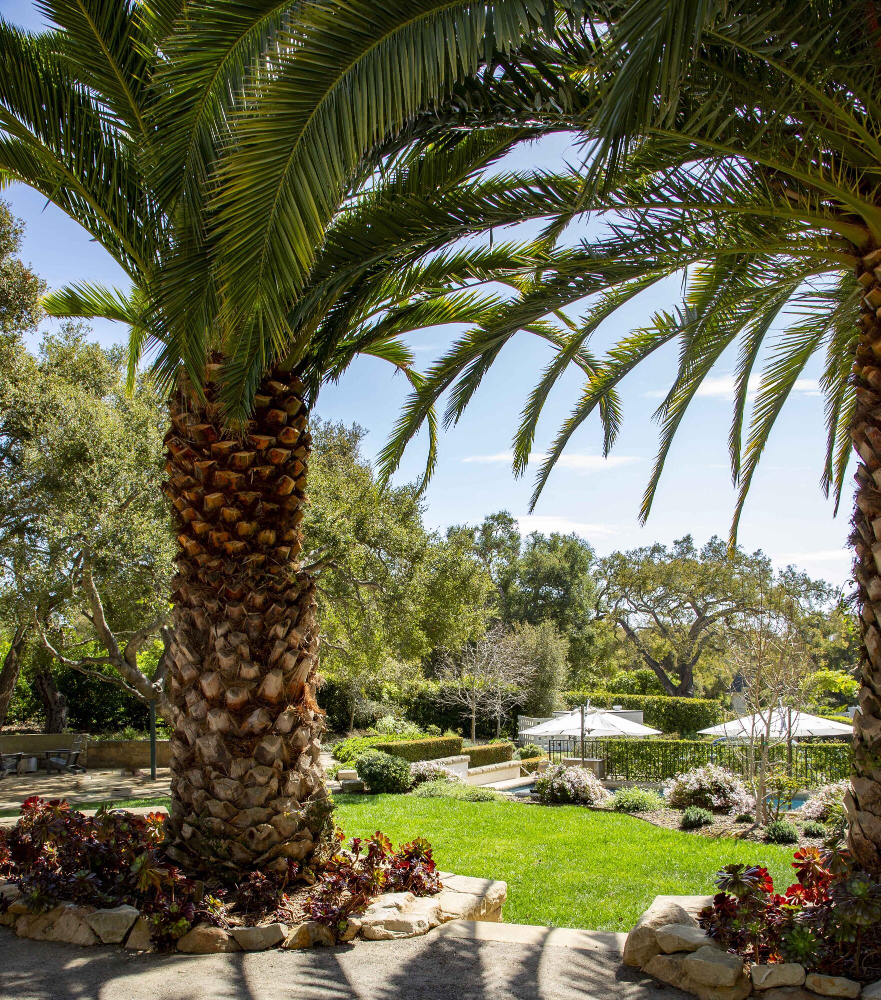 1729 Glen Oaks Drive