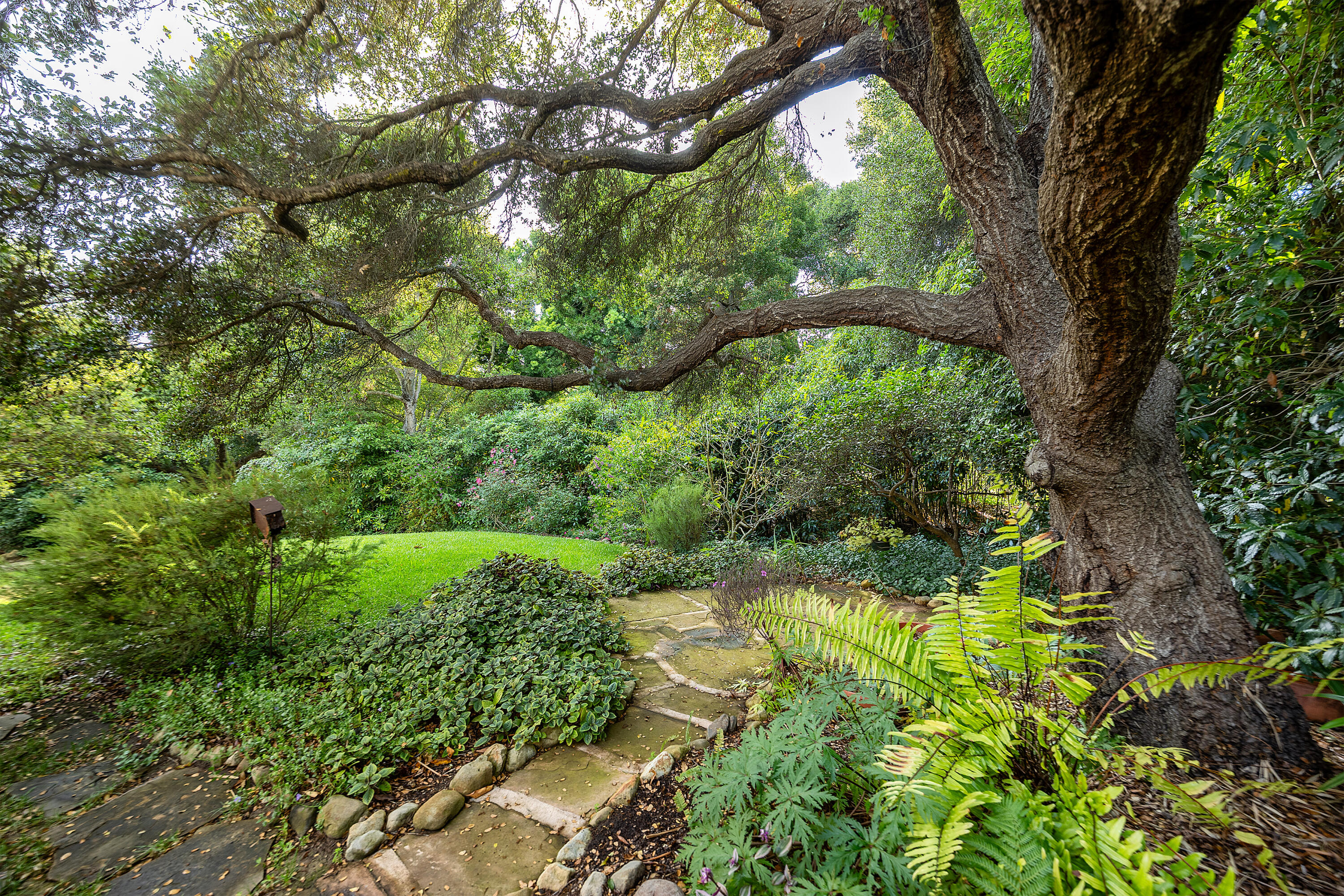 603 Juan Crespi Lane