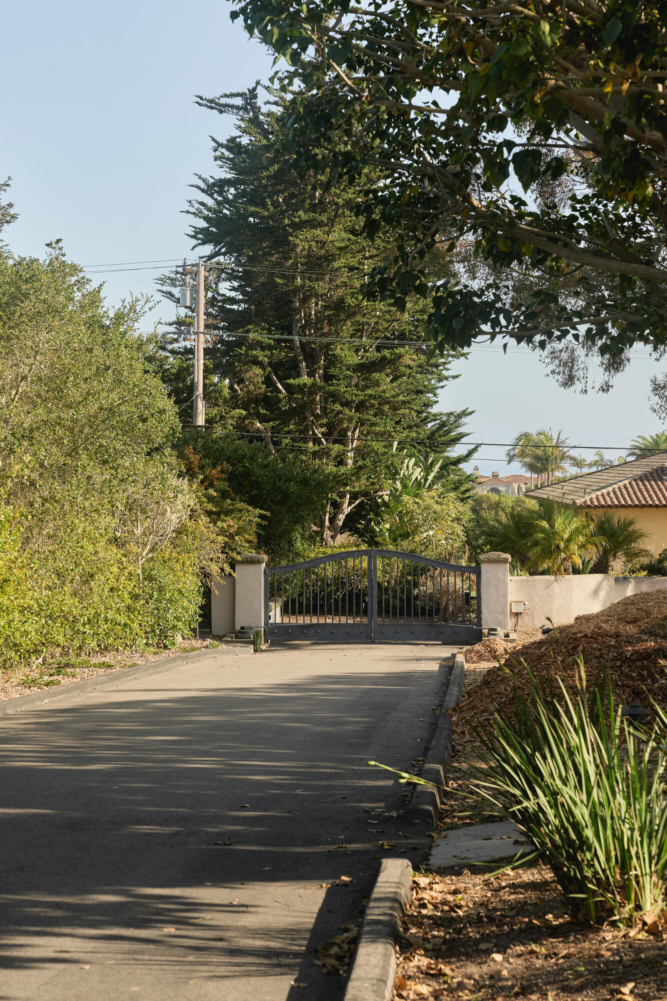 3236 Braemar Drive