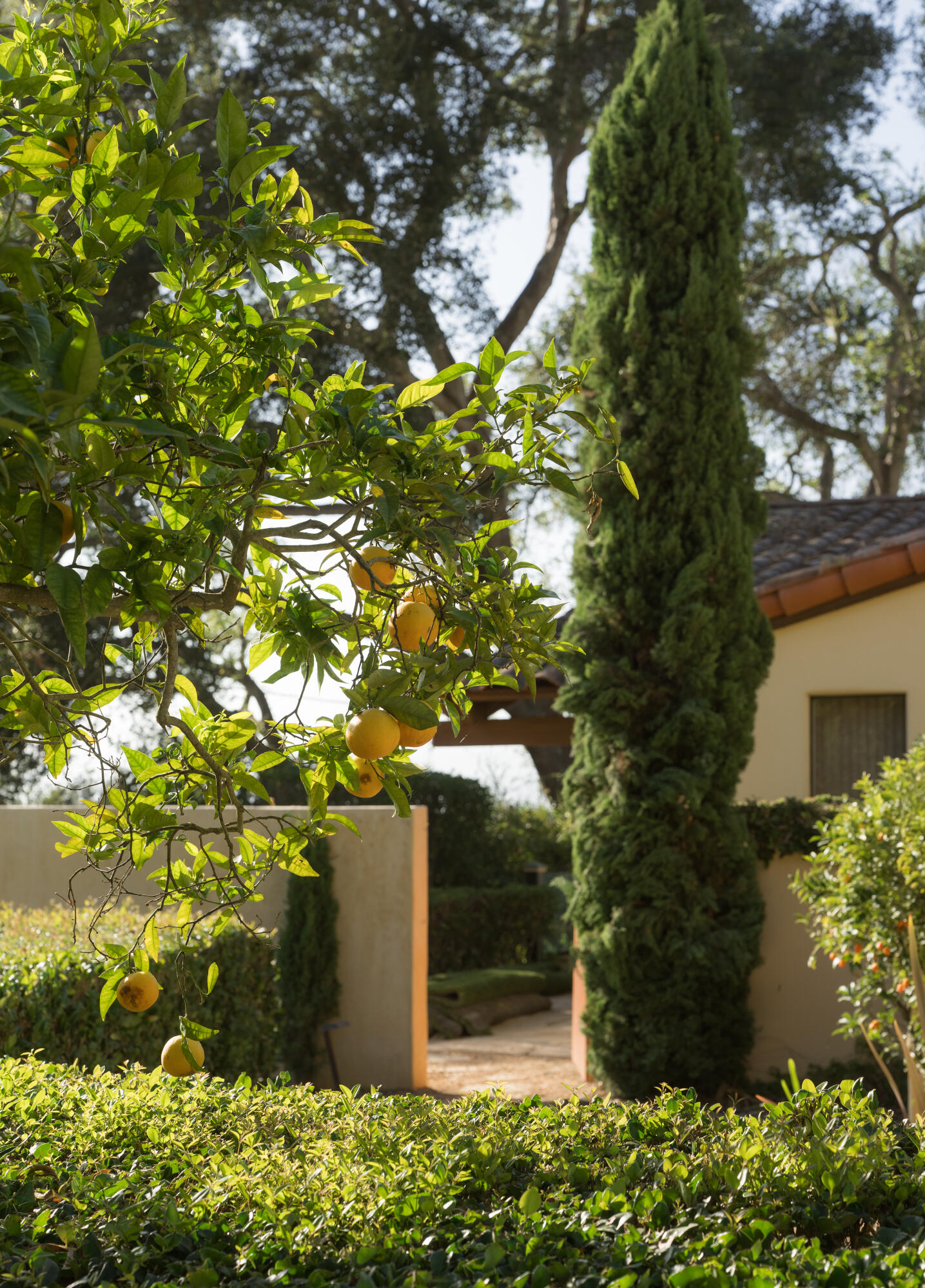 4585 Vieja Drive