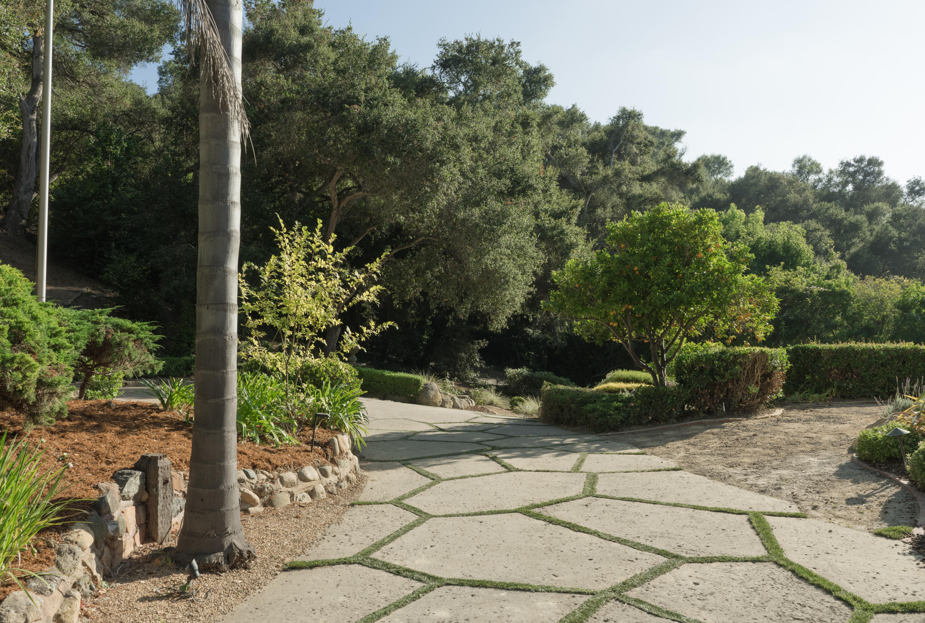 4585 Vieja Drive