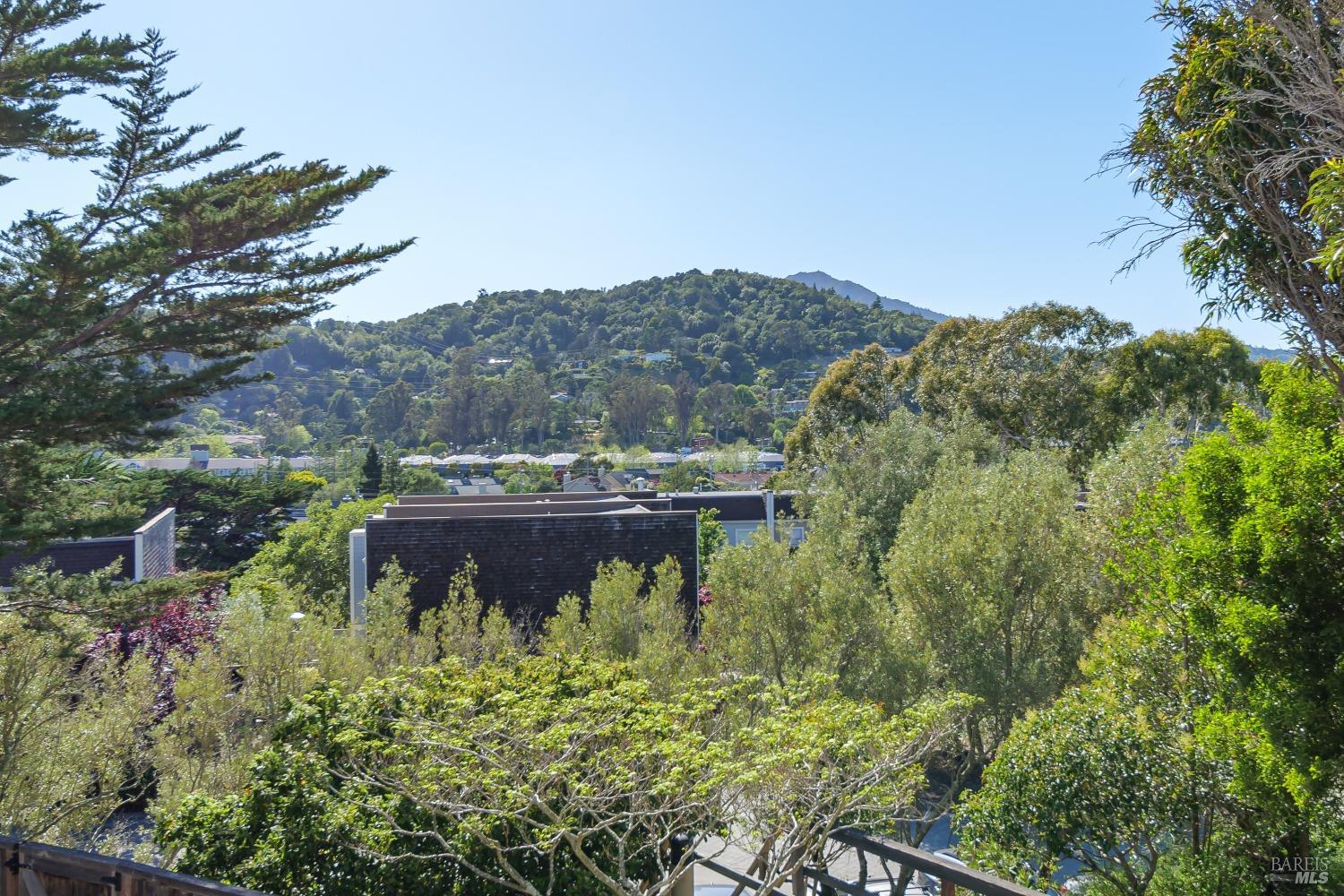 157 Mariner Green Ct