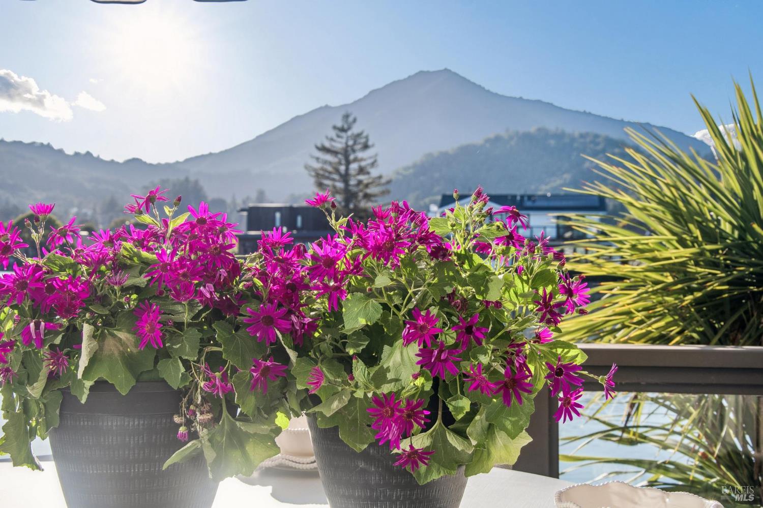 28 Corte Del Coronado