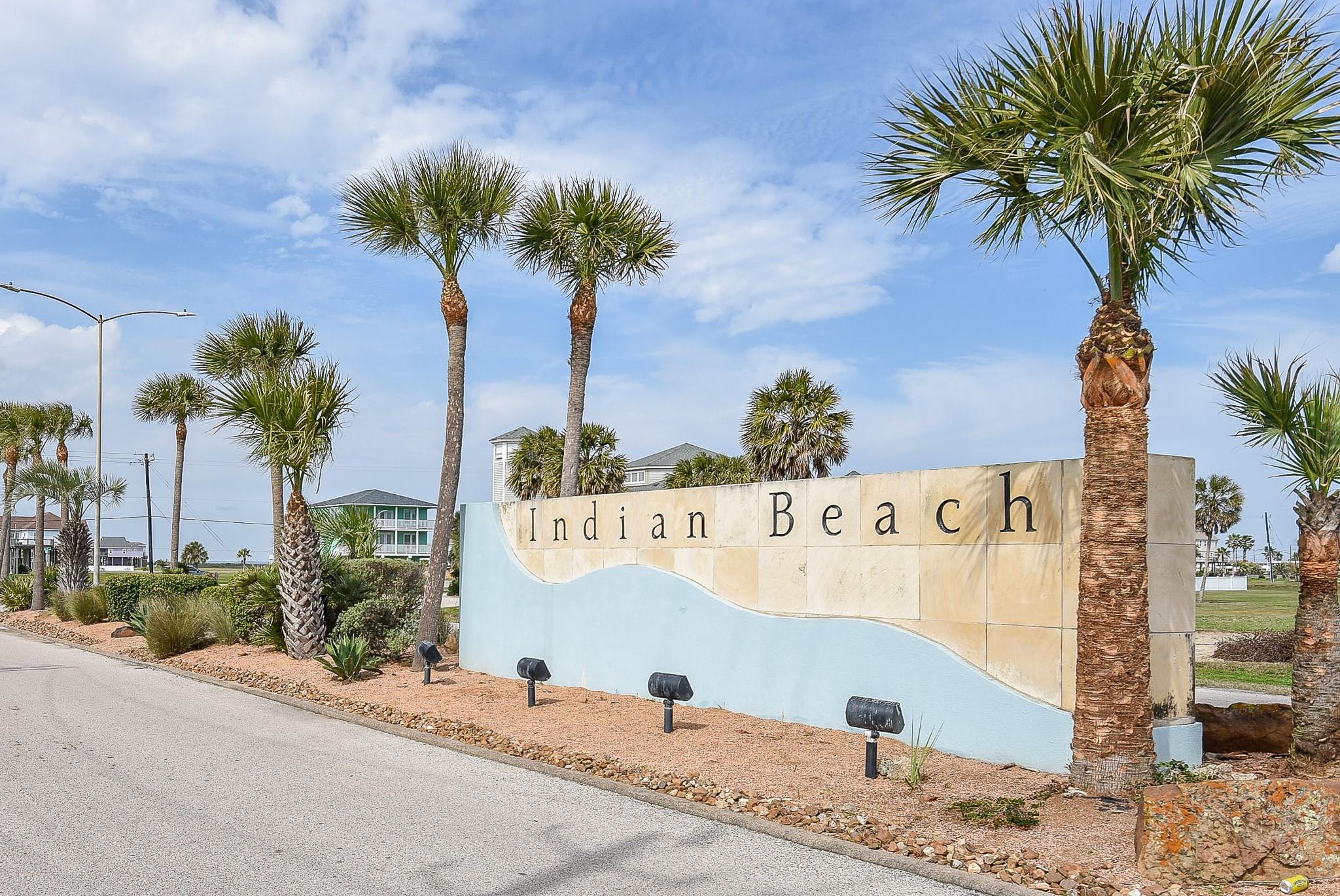 18203 Shaman Drive