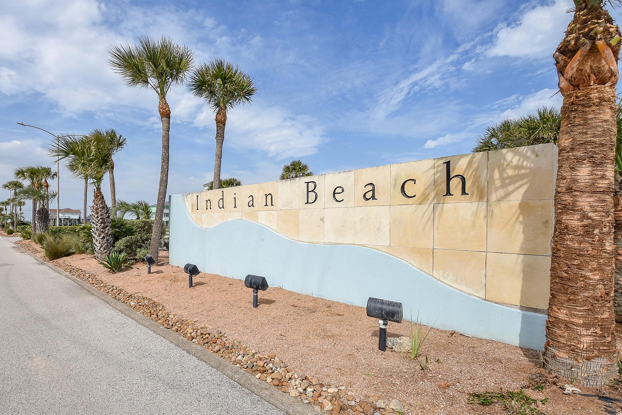18203 Shaman Drive